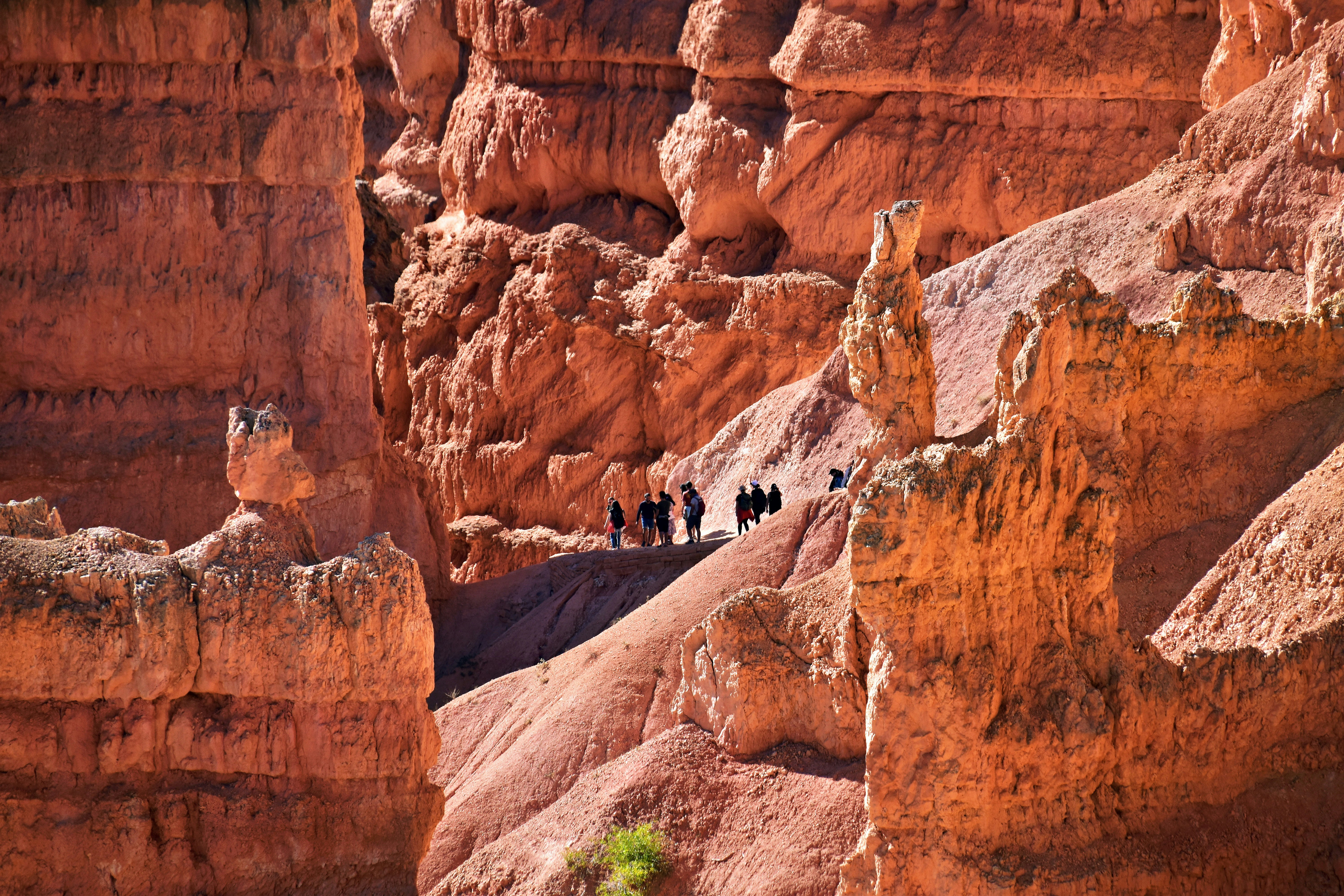 randonneurs devant le Grand Canyon