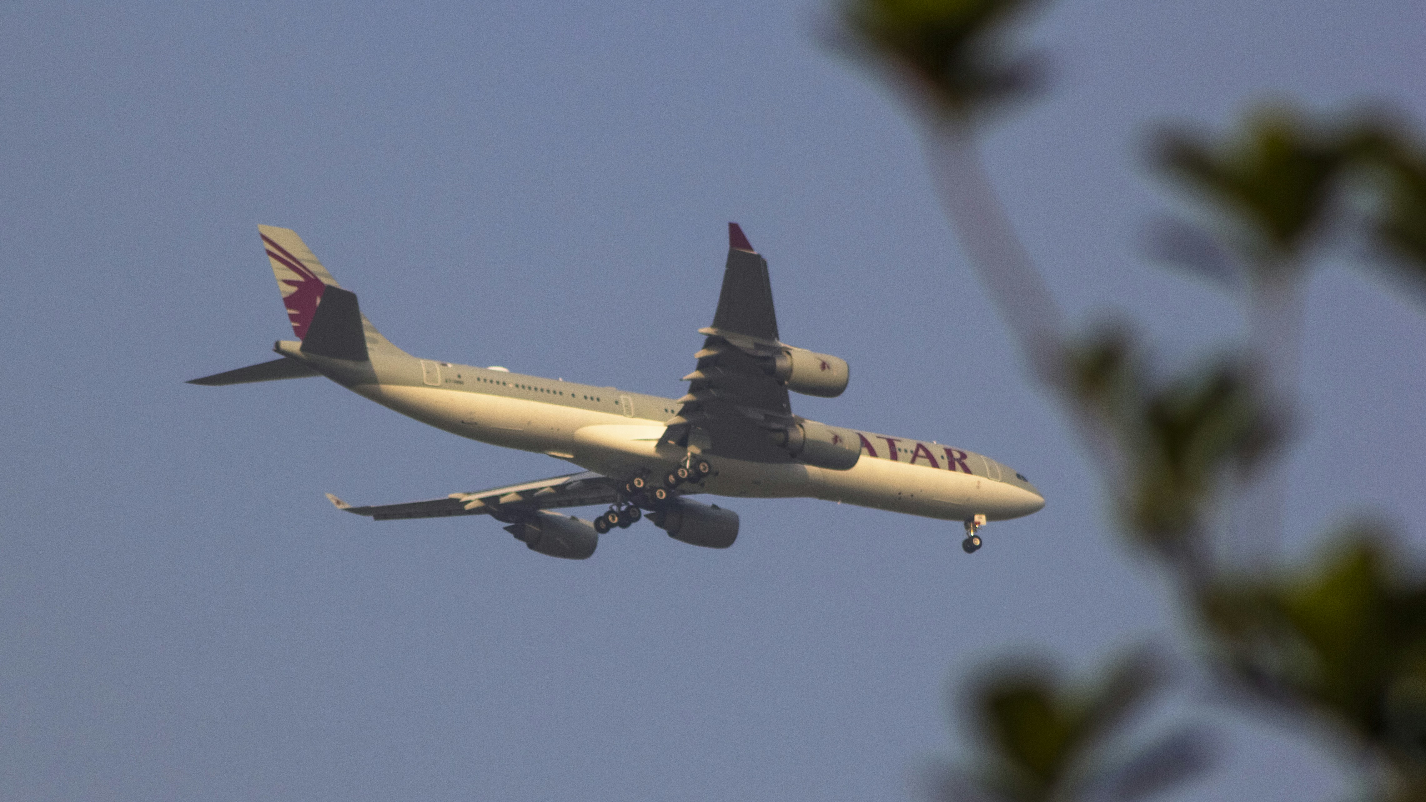 a large jetliner flying through a blue sky, Qatar Amiri Flight Airbus A340-541 A7-HHH Landing at Dhaka Airport.