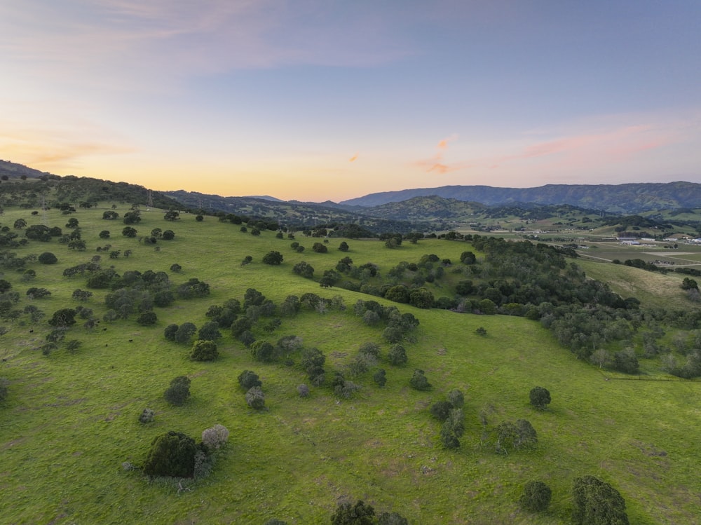 an aerial view of a lush green field