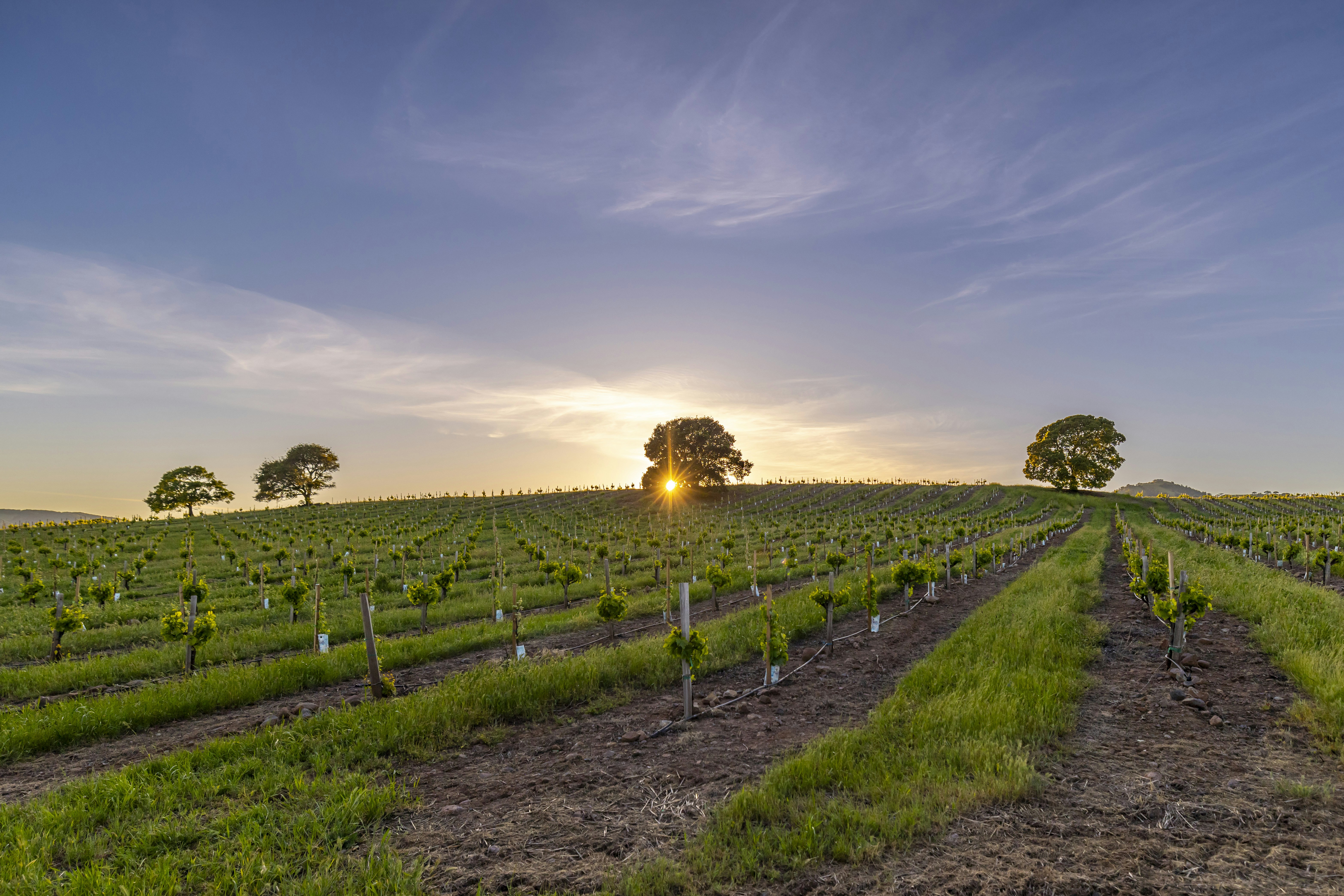 Photo by leo_visions_