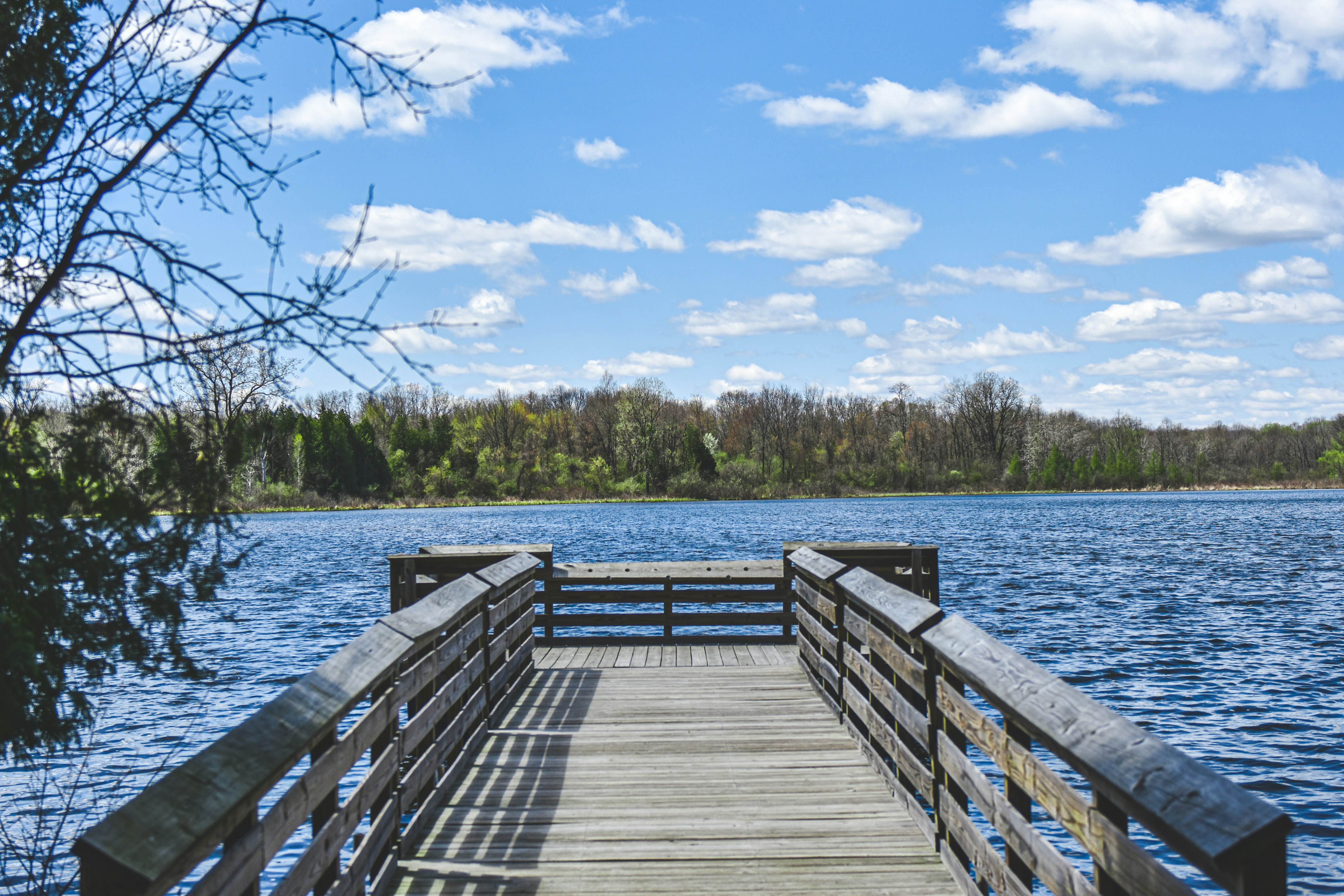 Photo by freefolkphoto