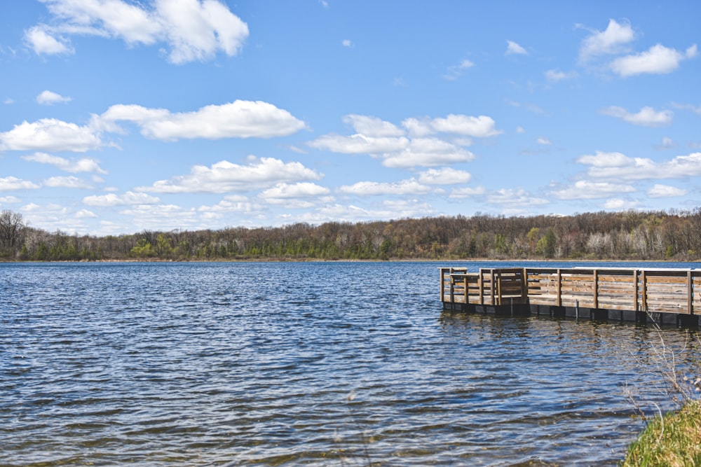 a large body of water surrounded by a forest