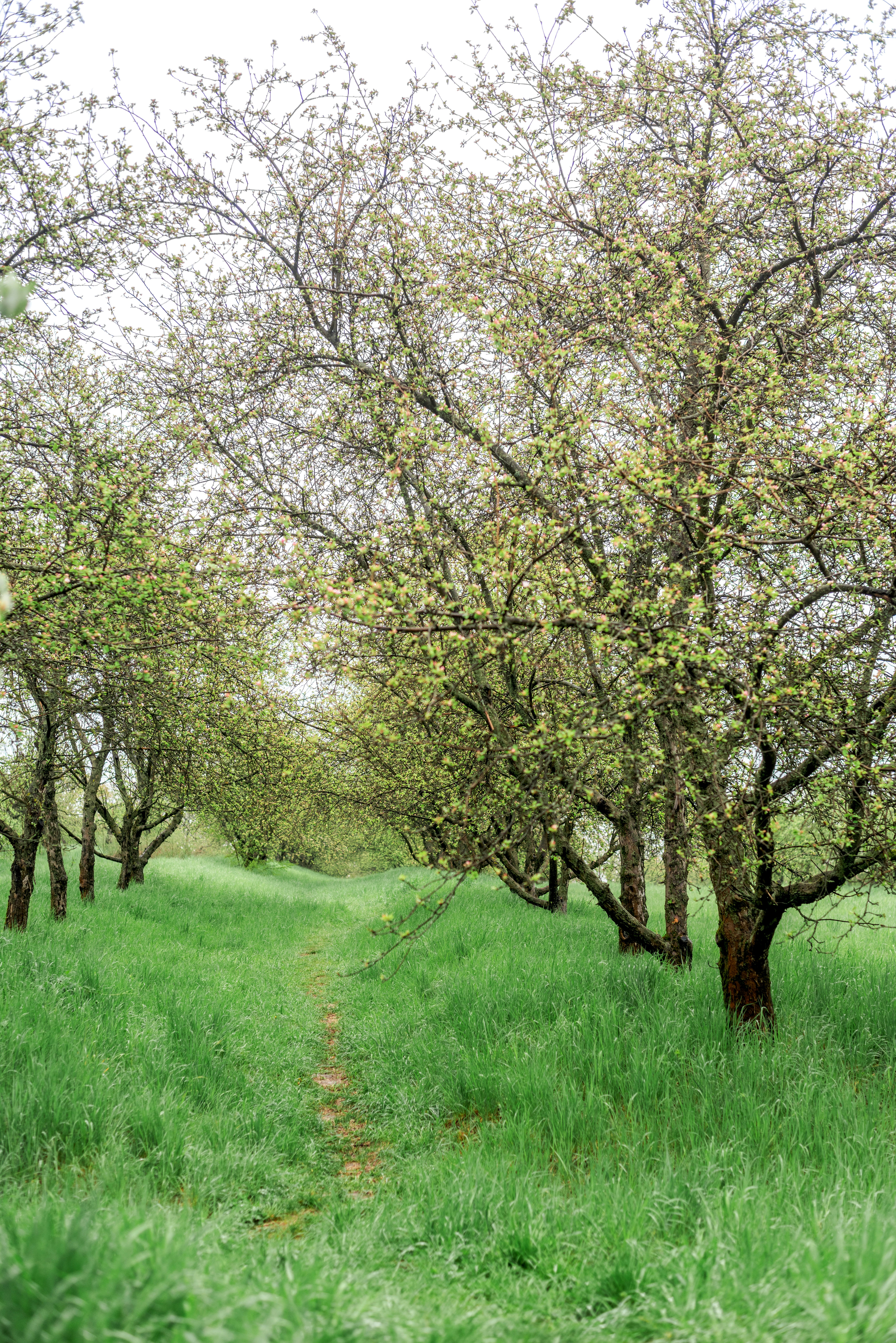 Photo by eugenivy_now