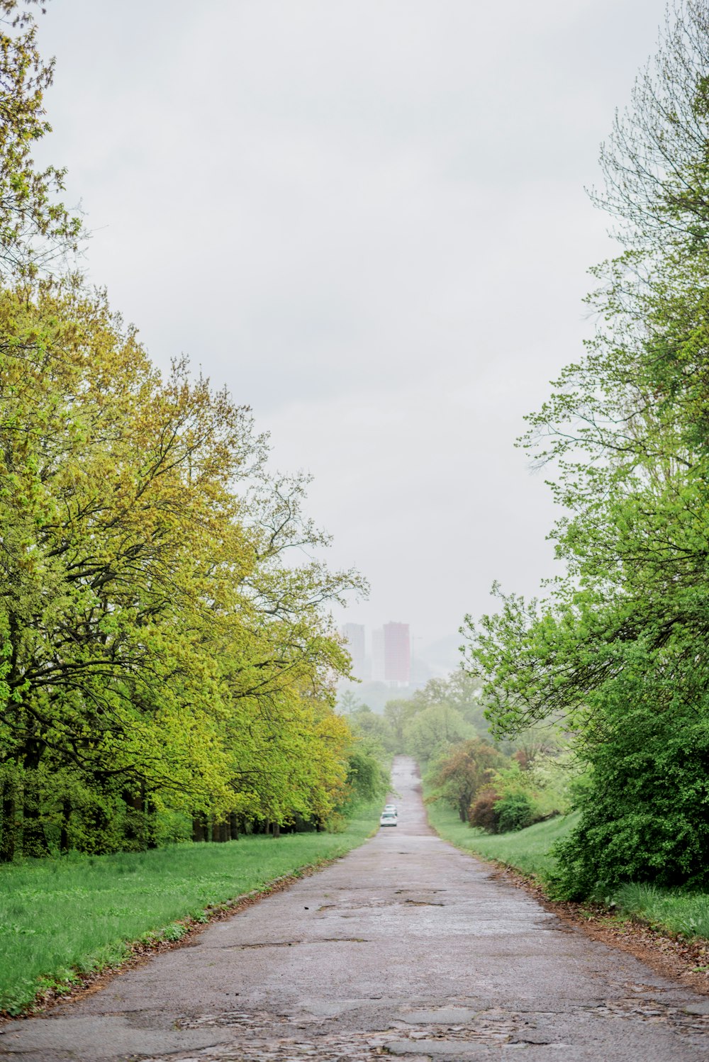 an empty road surrounded by trees and grass