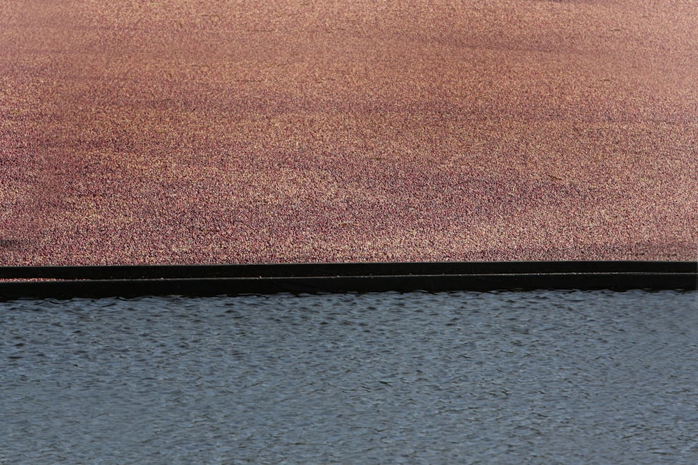 a bird is sitting on the edge of a body of water