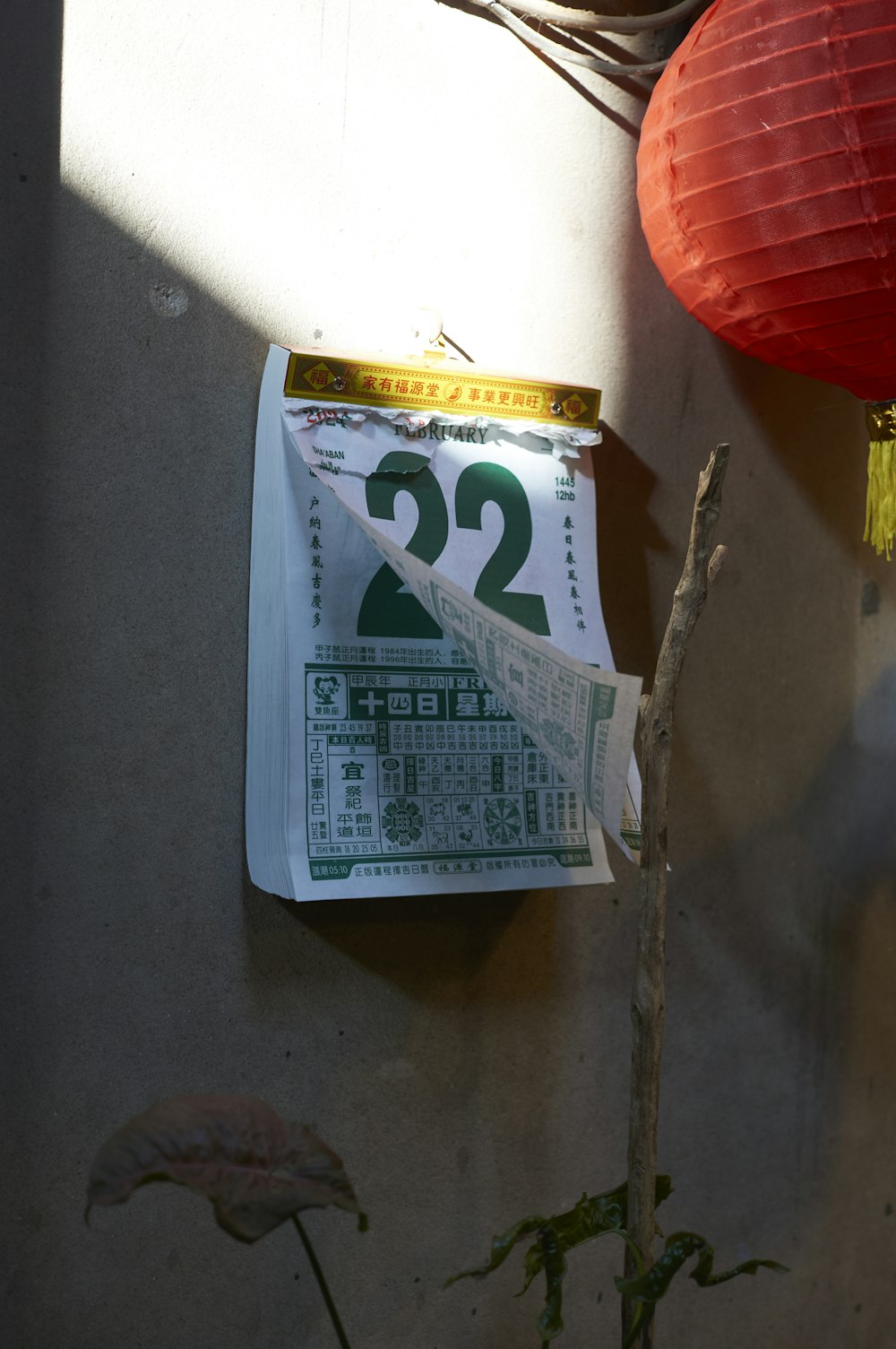 a piece of paper taped to a wall next to a plant