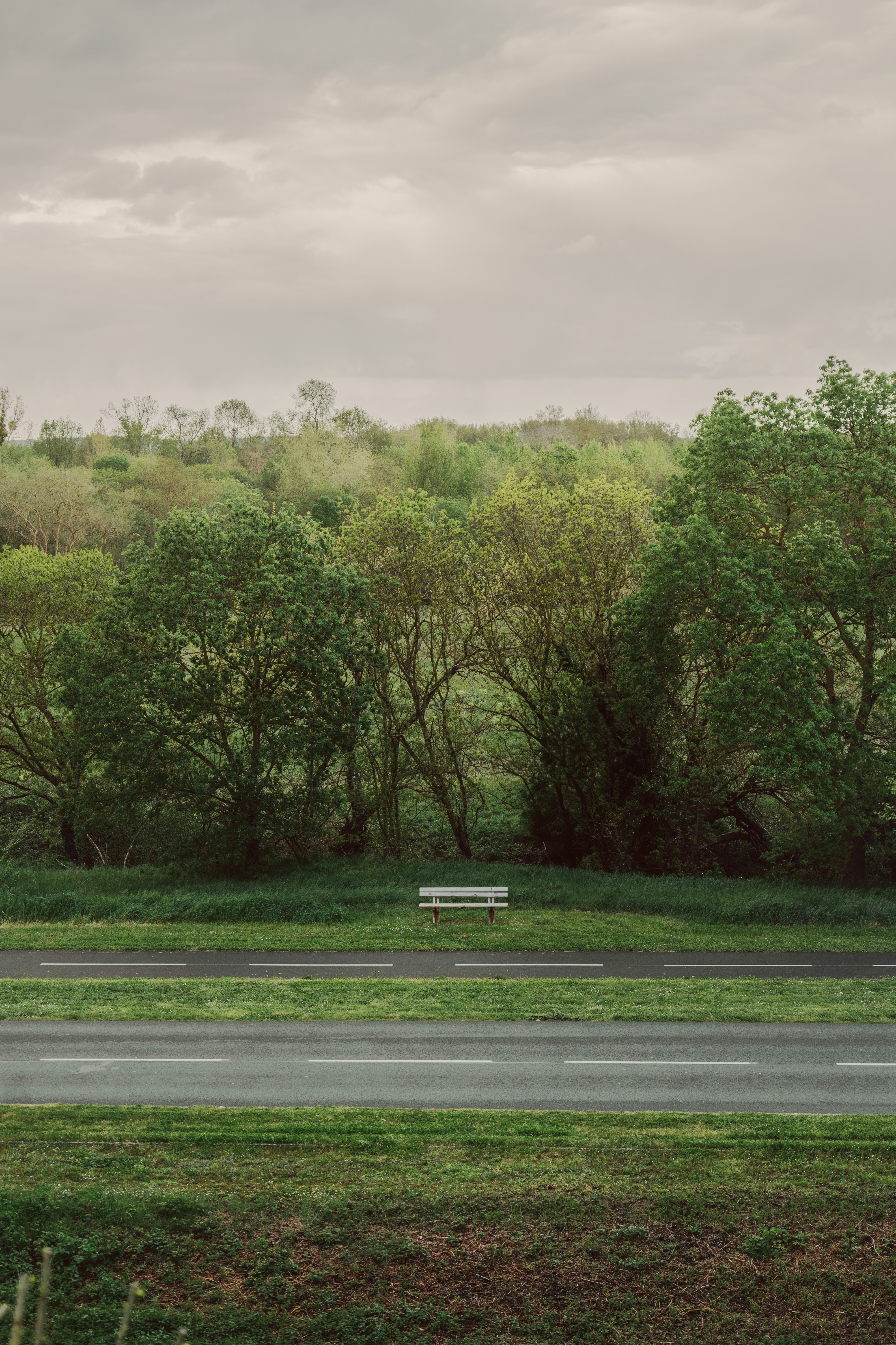Sapphic Circle January 18th, 2026: Lesbian Isolation
