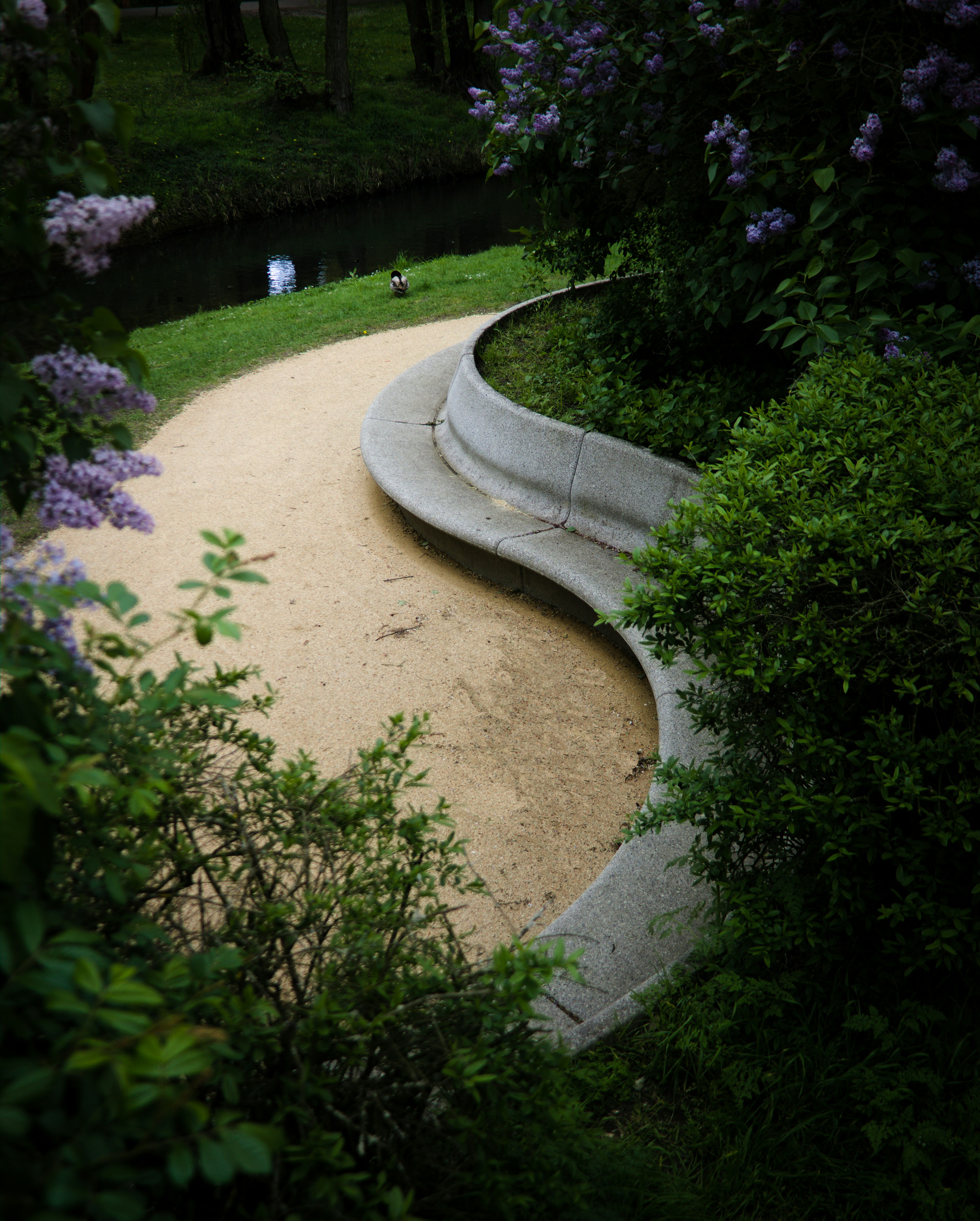 Photo by klarin_steffens