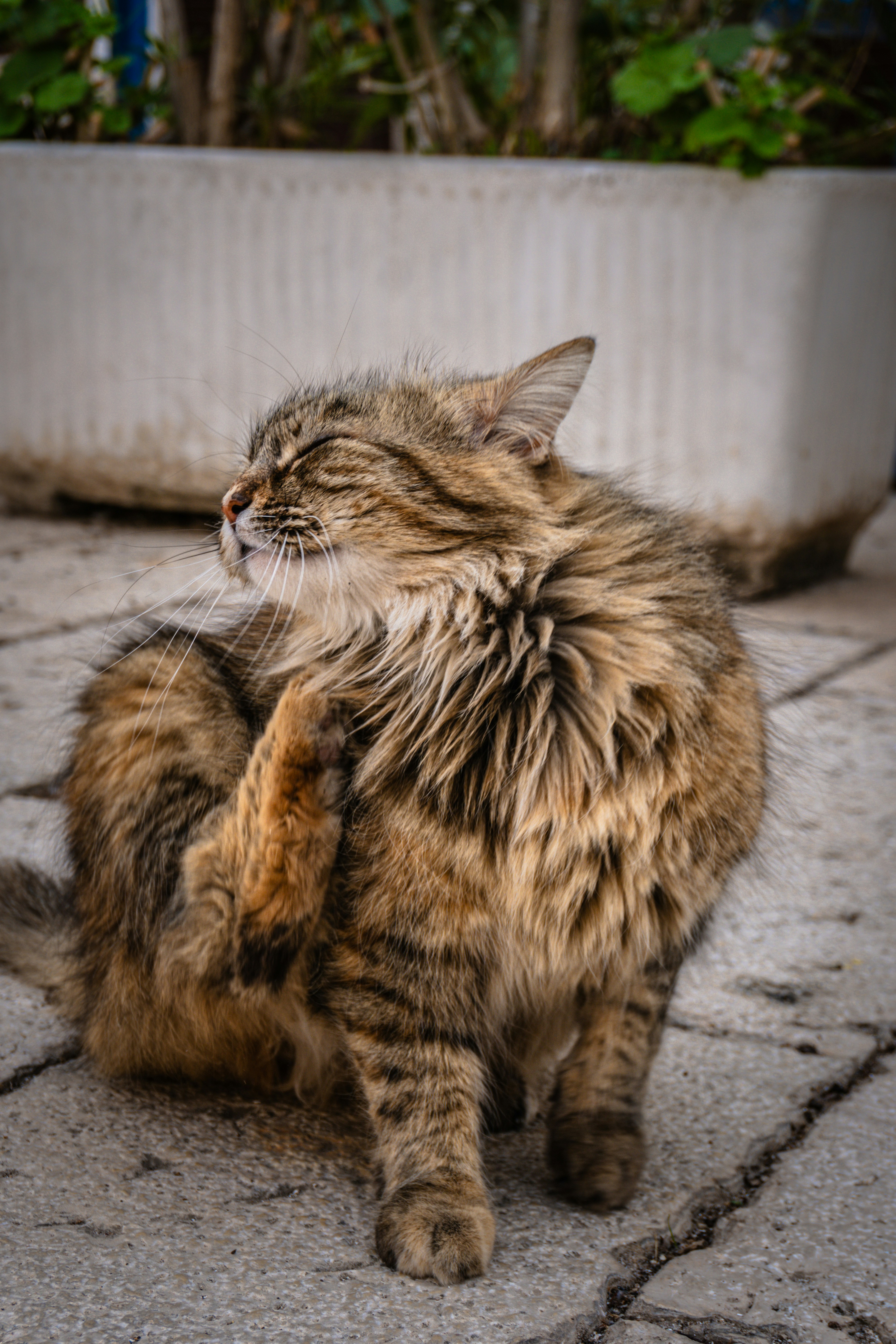 Photo by nicola_welner