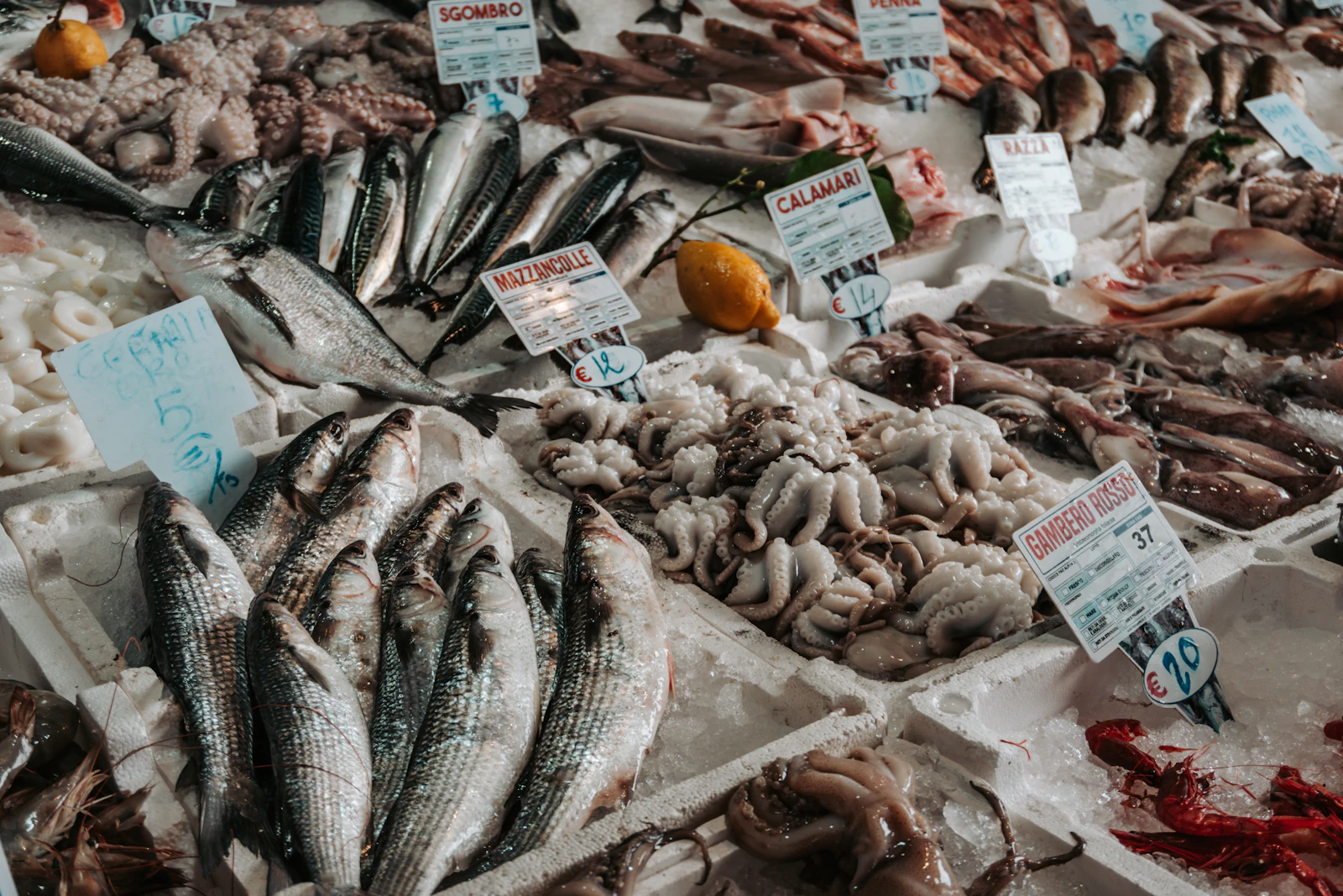 El Pescador Fish Market