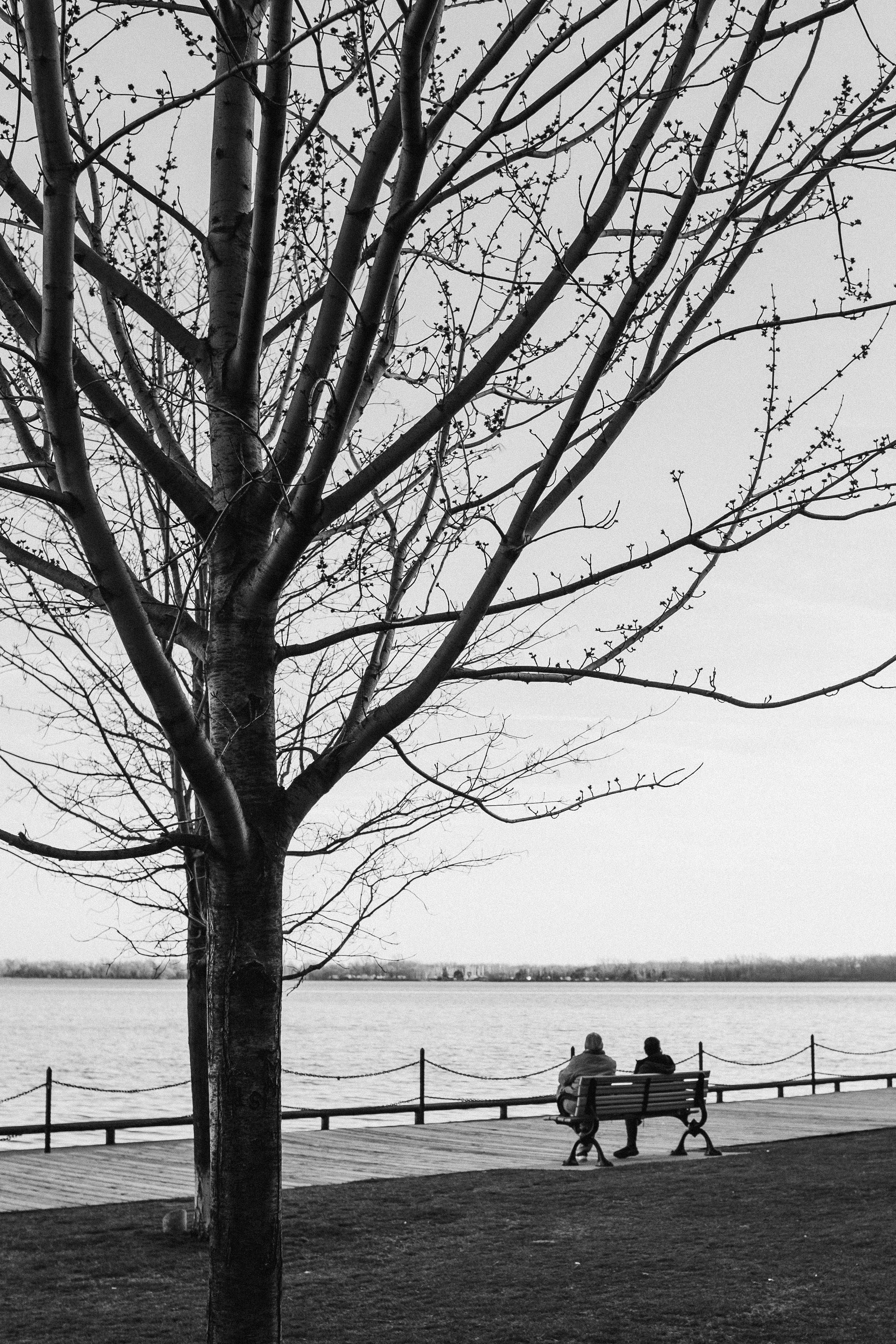 Photo by whoisshubham