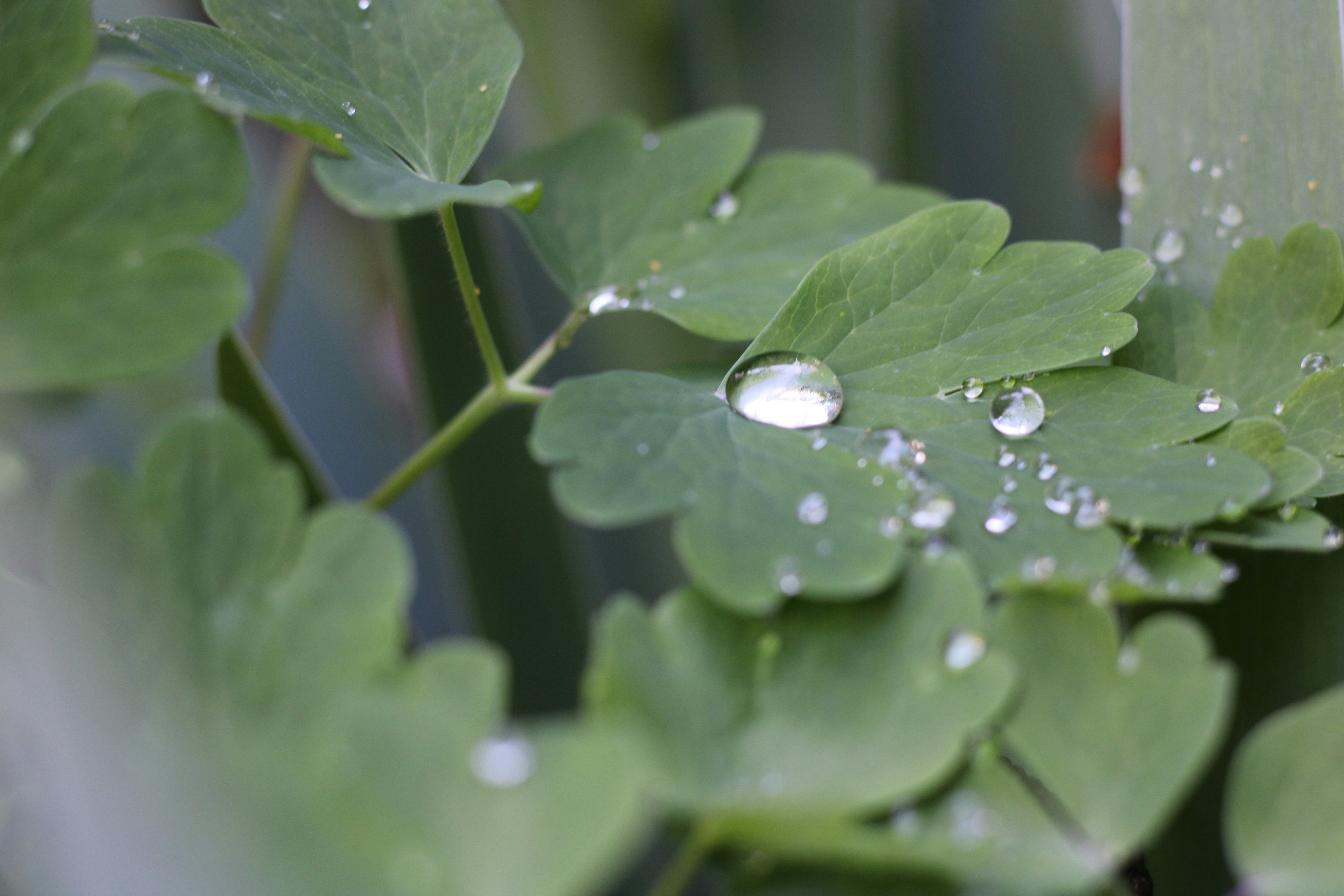 Photo by thorai9akira