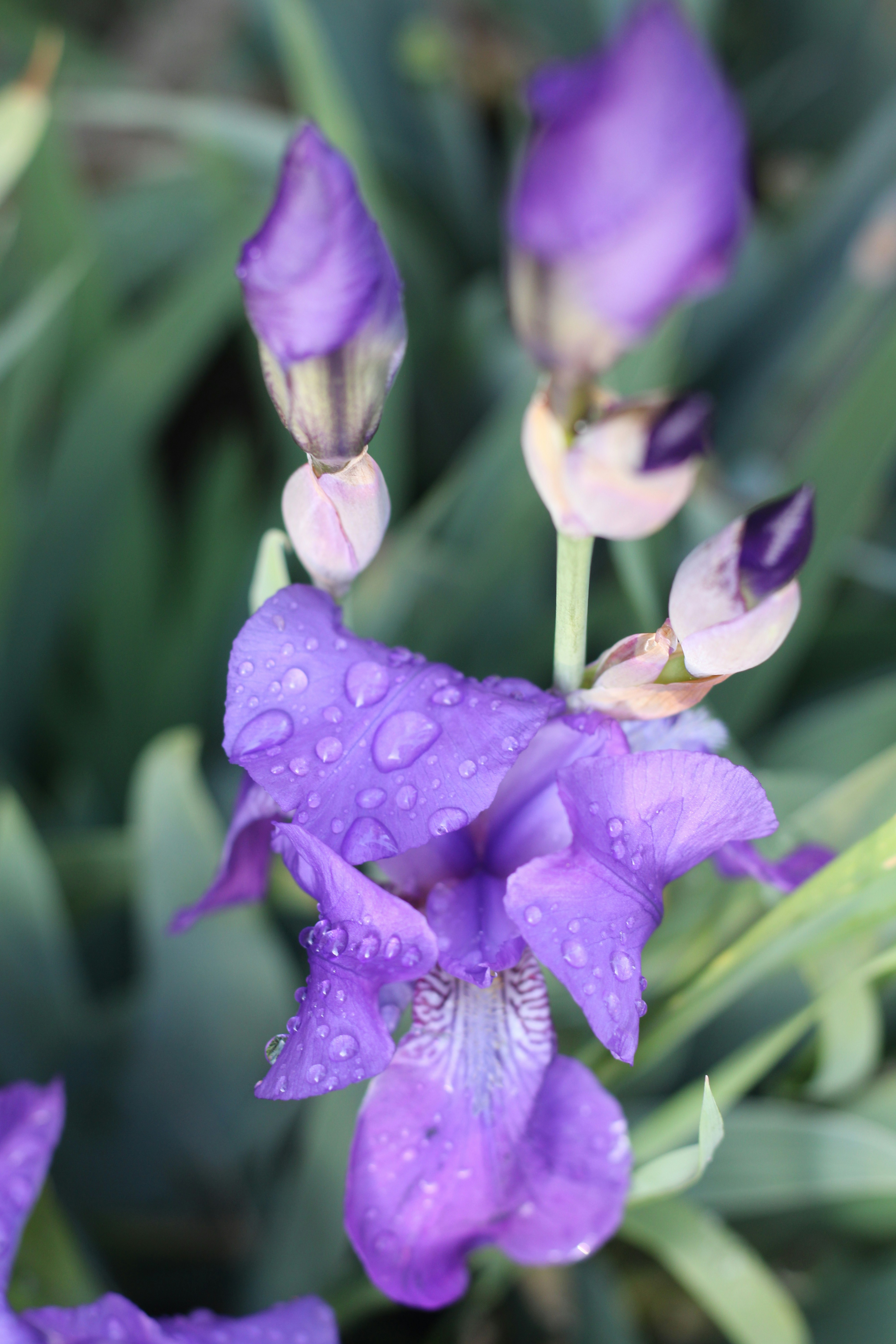 Photo by thorai9akira