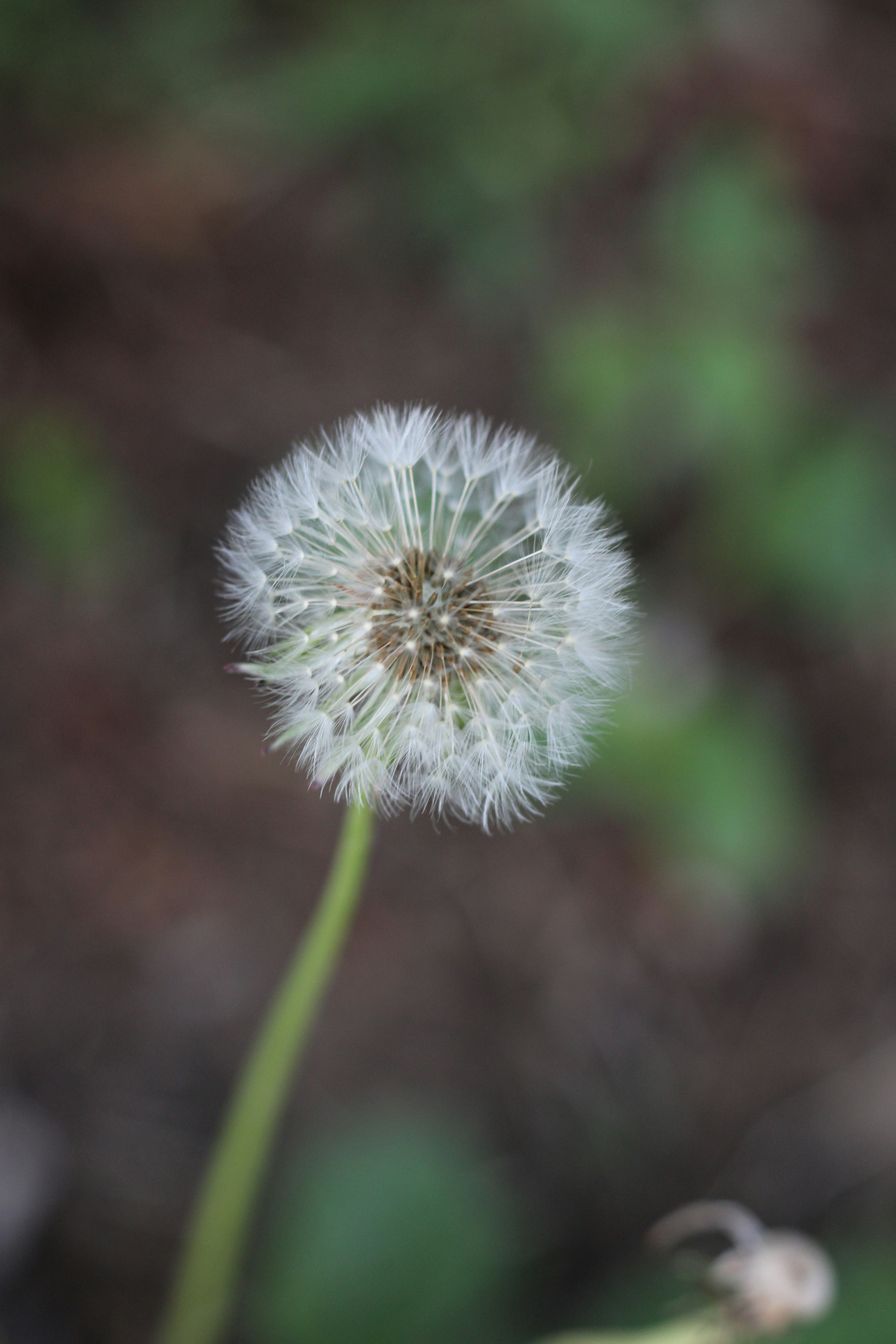 Photo by thorai9akira