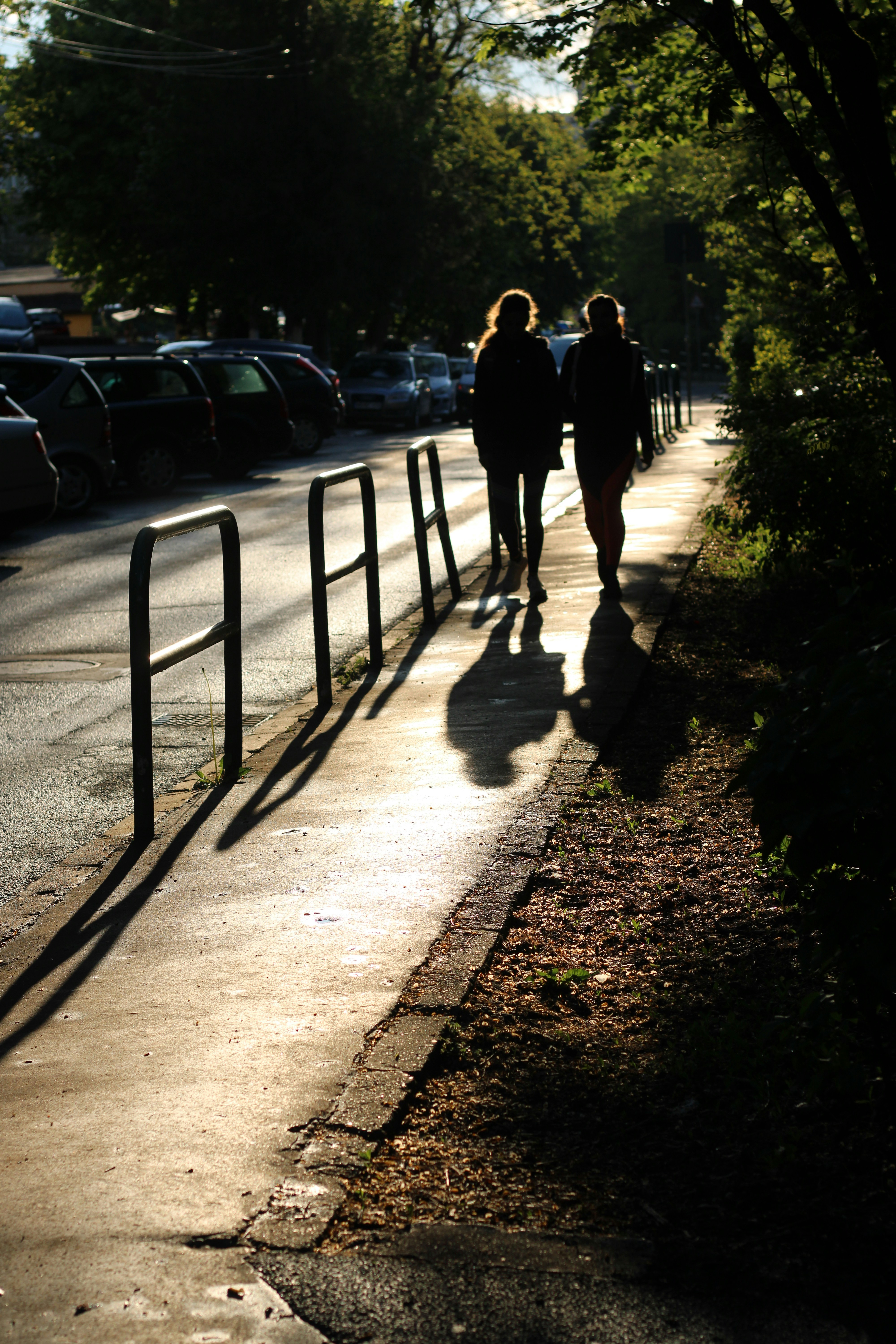 Two silhouettes walking at sunset, long path ahead, warm golden light casting long shadows