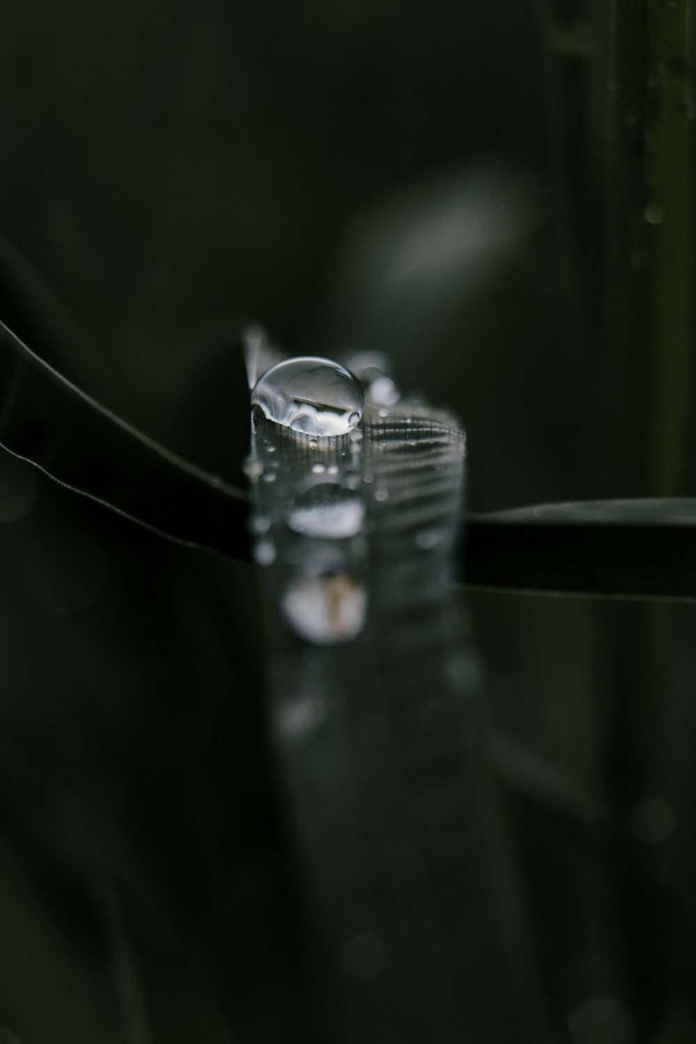 a close up of a water drop on a blade of grass