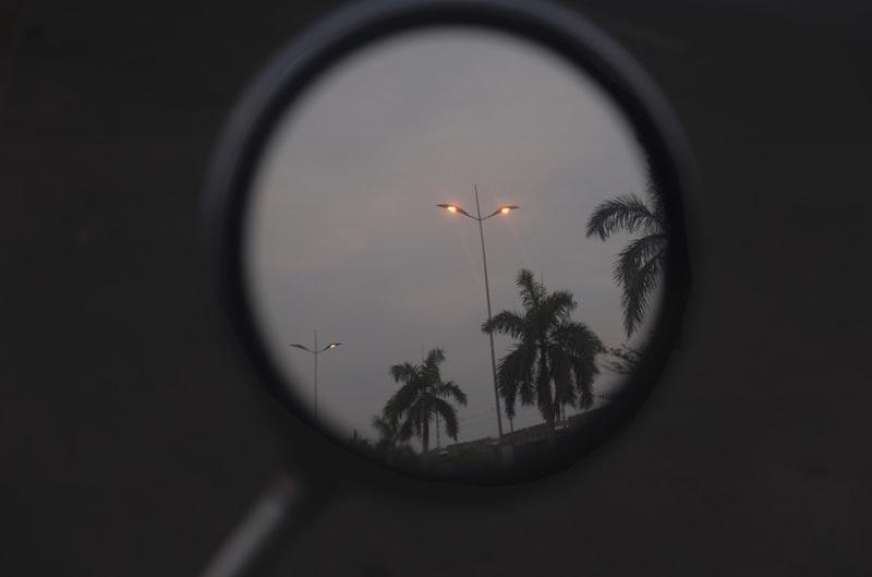 Palm trees reflected in a mirror, duplicated and inverted