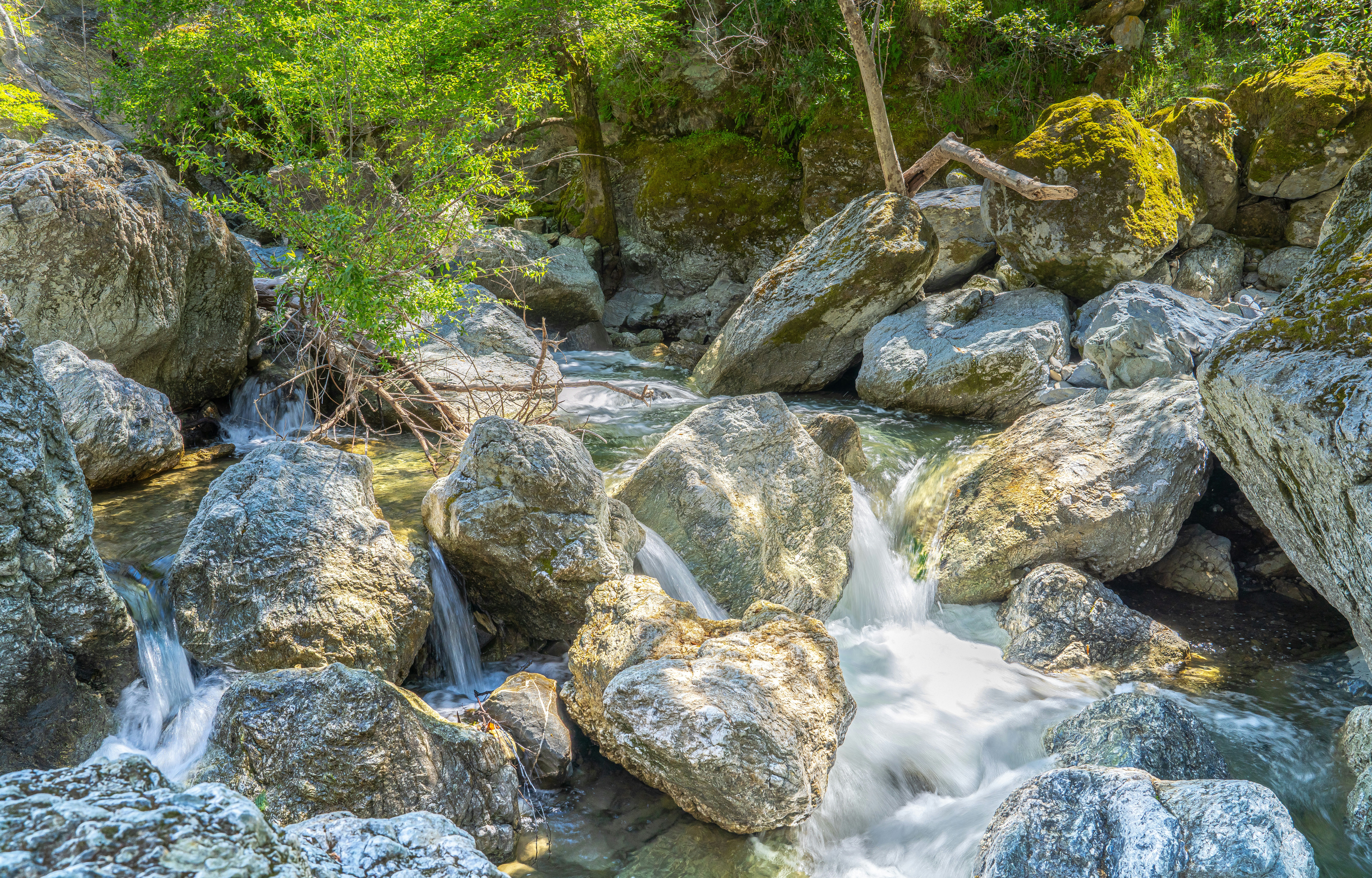 Photo by happy_pixel