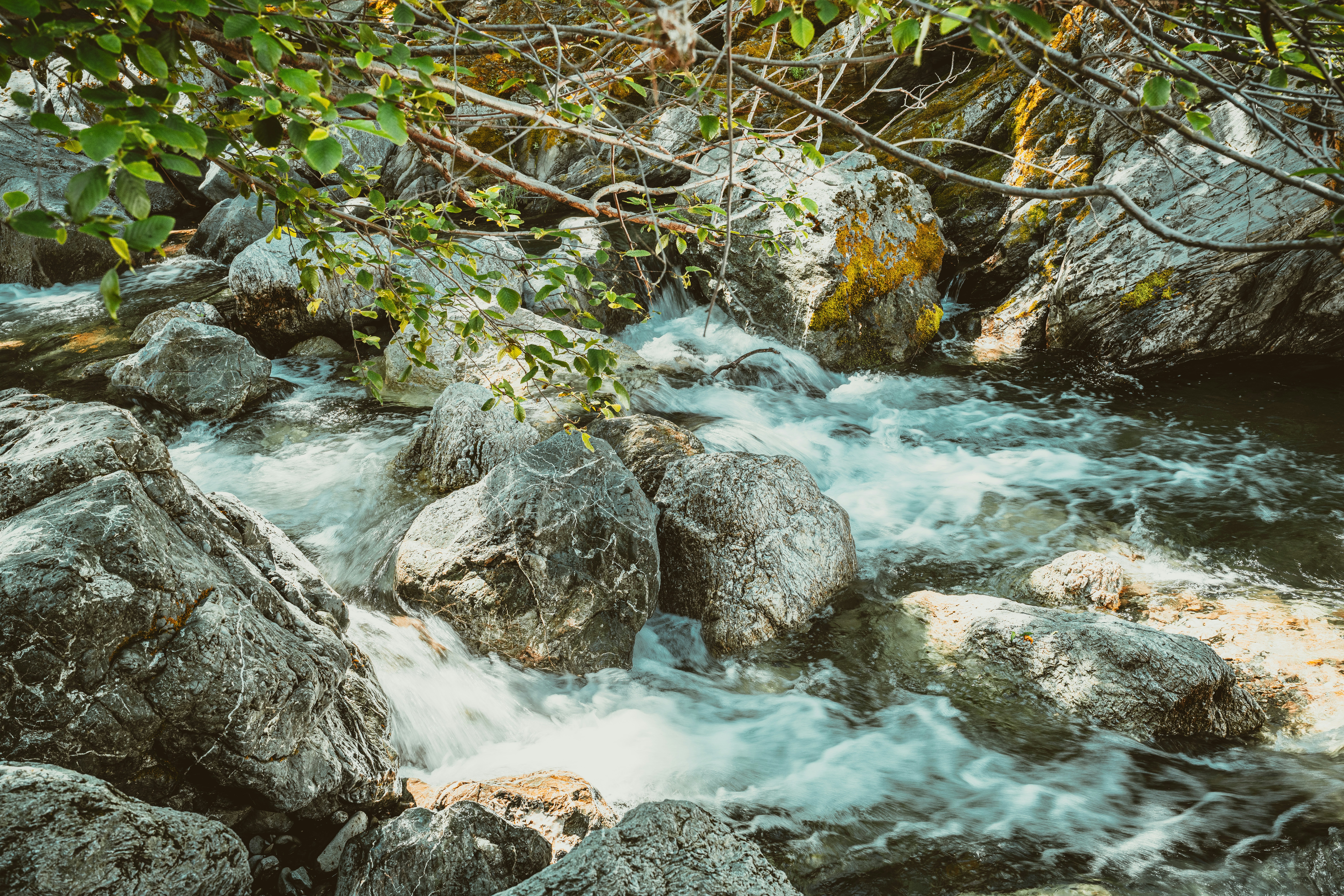 Photo by happy_pixel