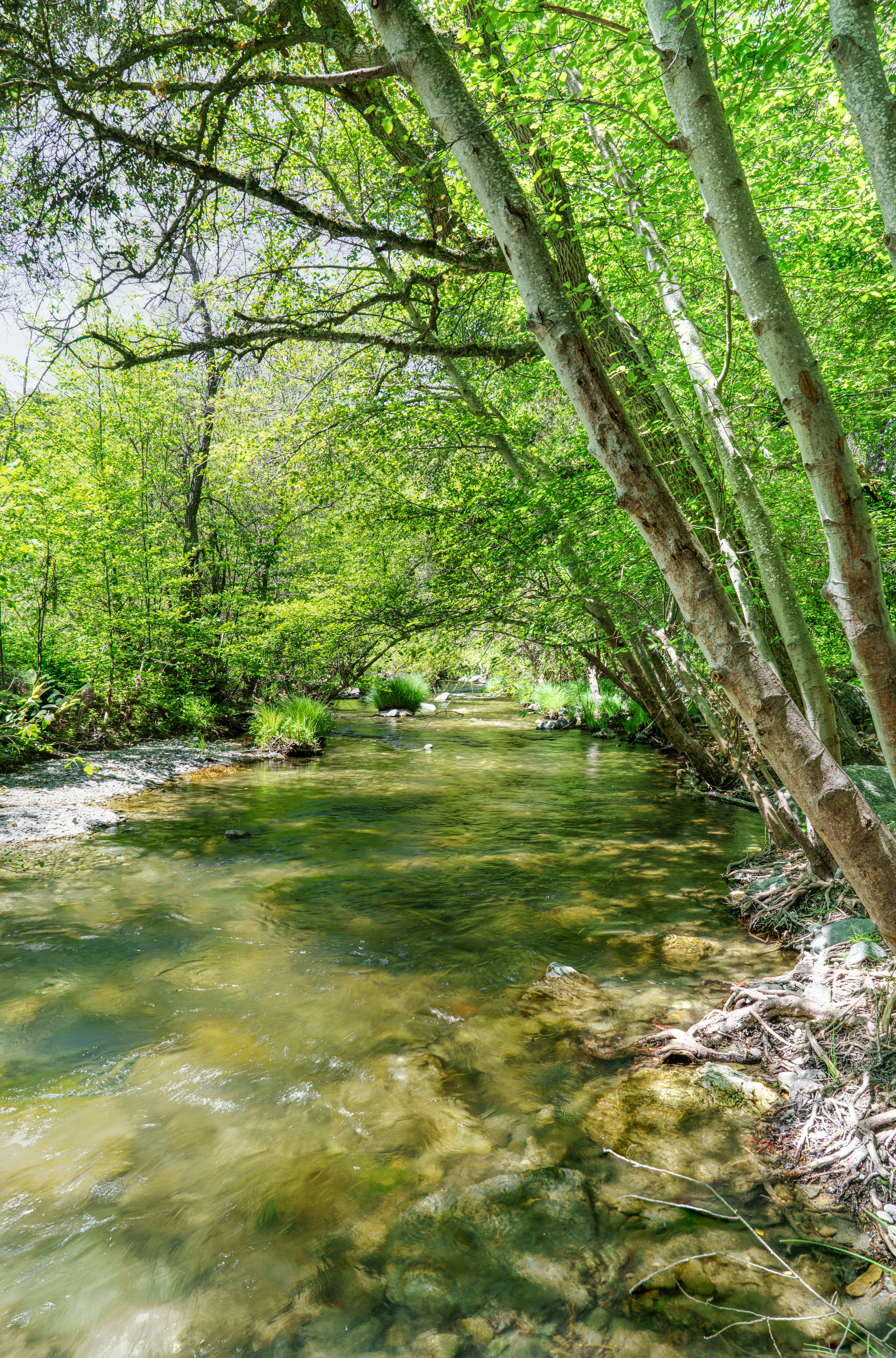 Photo by happy_pixel