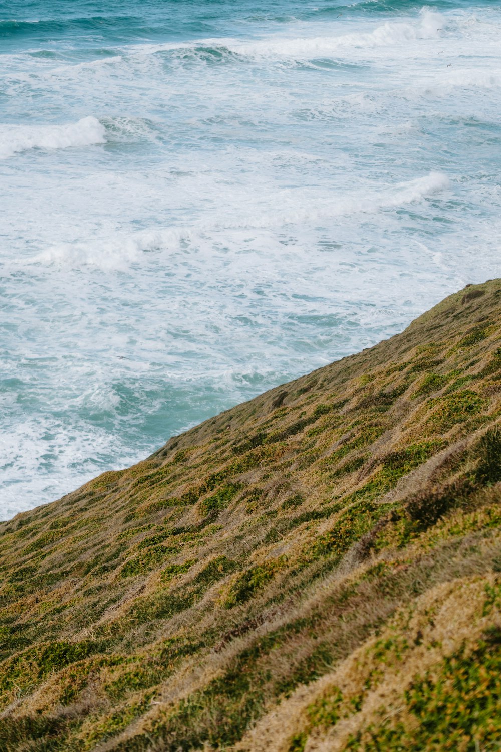 a person standing on a grassy hill next to the ocean