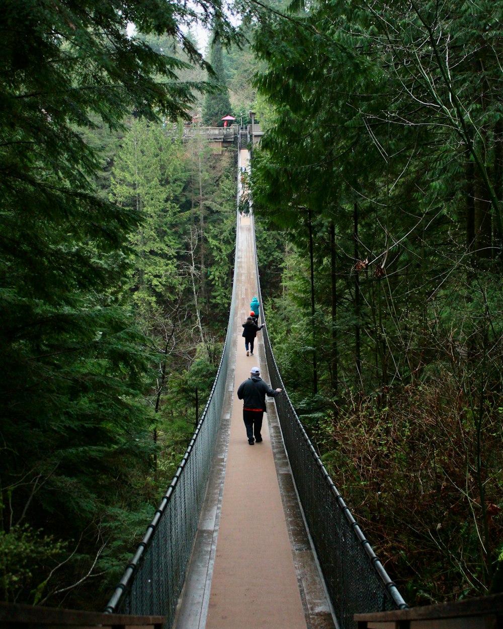 two people walking across a bridge in the woods
