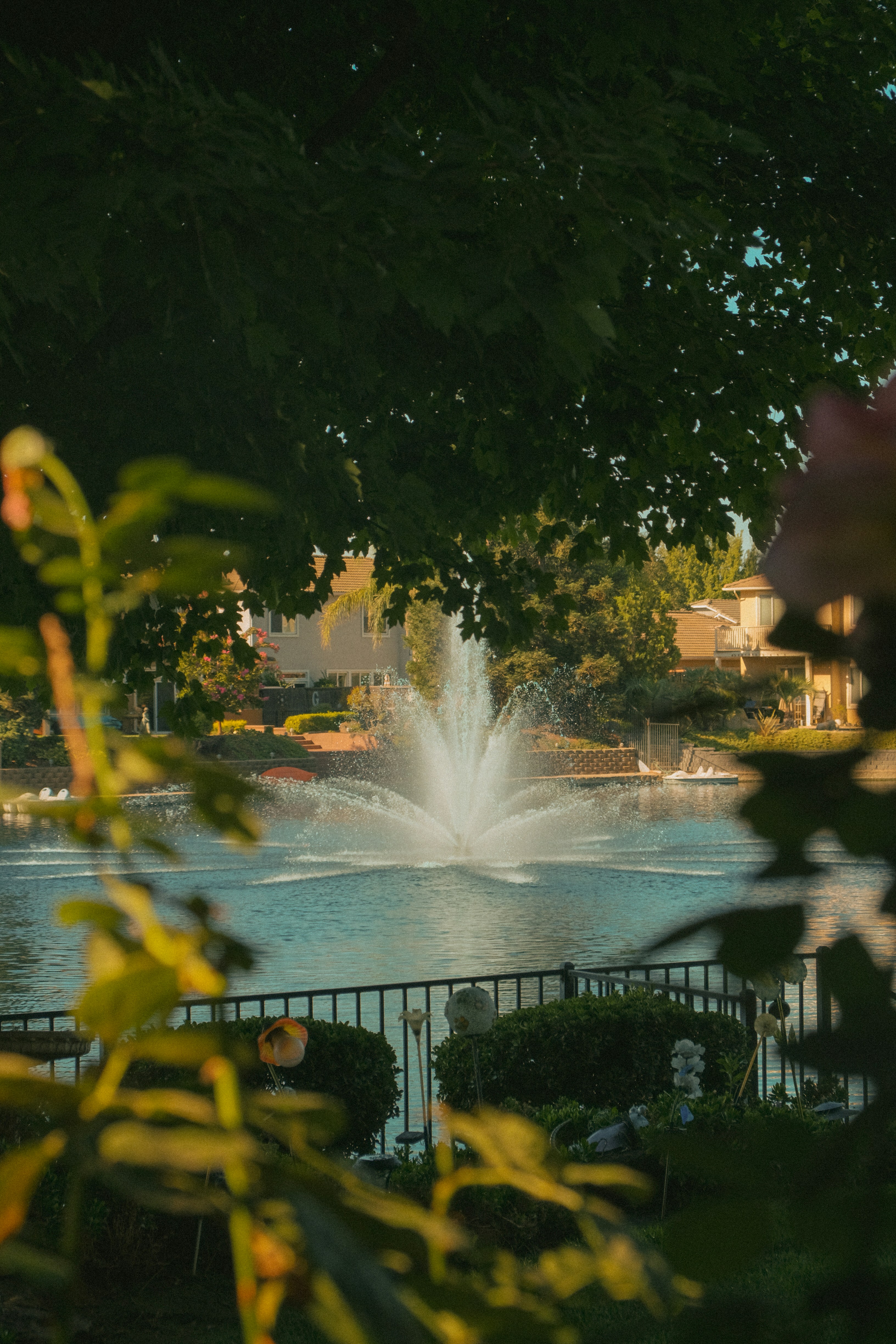 Photo by fruitfullmedia