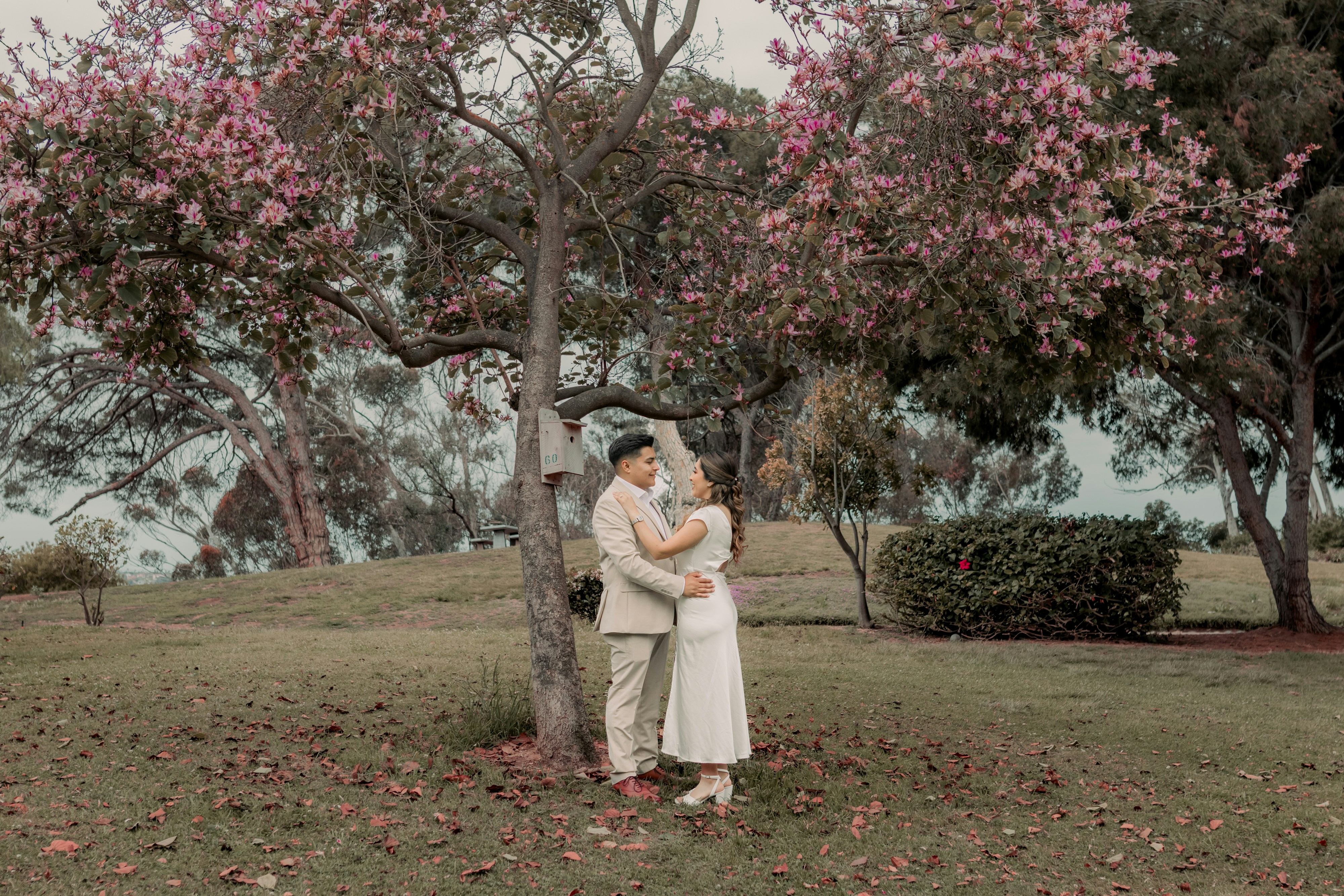 Photo by livingcolortj