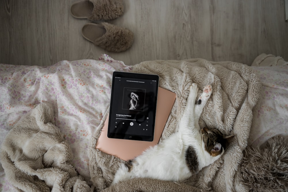 a cat laying on top of a bed next to an electronic device