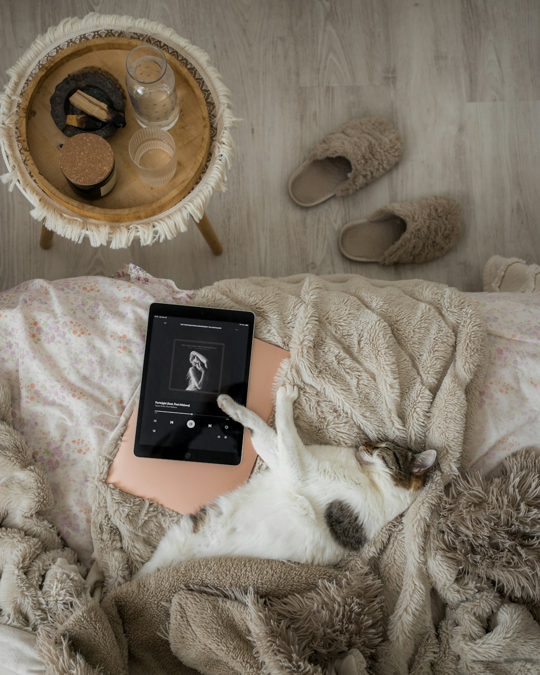 A cat next to the laptop and an tablet listening to the song "Fortnight ft. Post Malone" from the latest music album "The Tortured Poets Department" by Taylor Swift