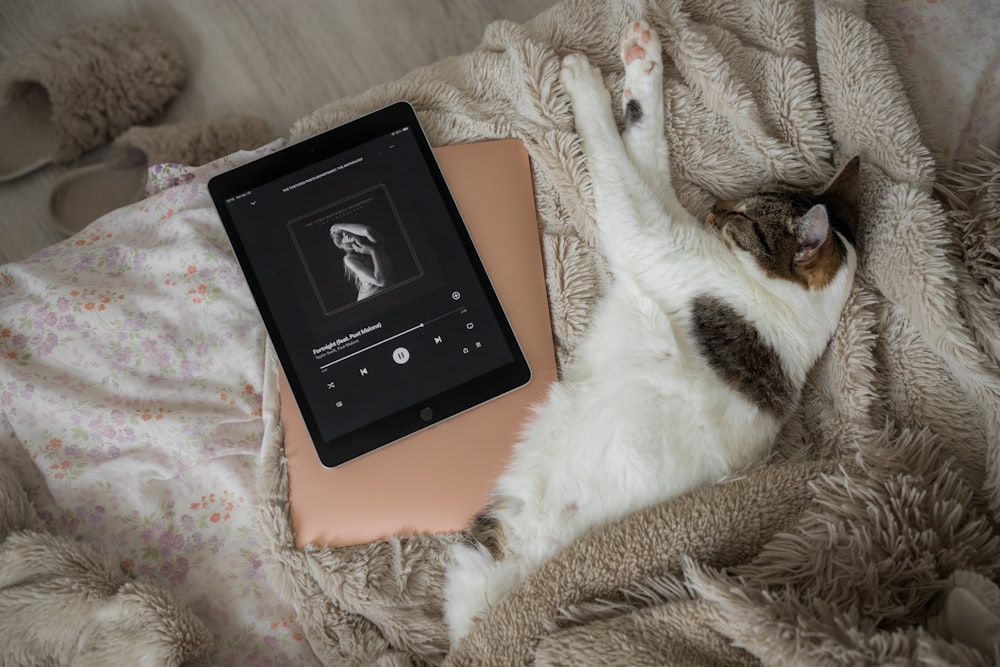 a cat laying on top of a bed next to an electronic device