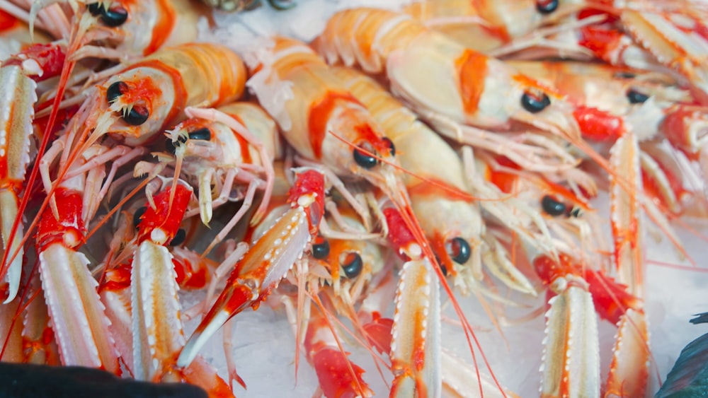 a close up of a bunch of shrimp on a table