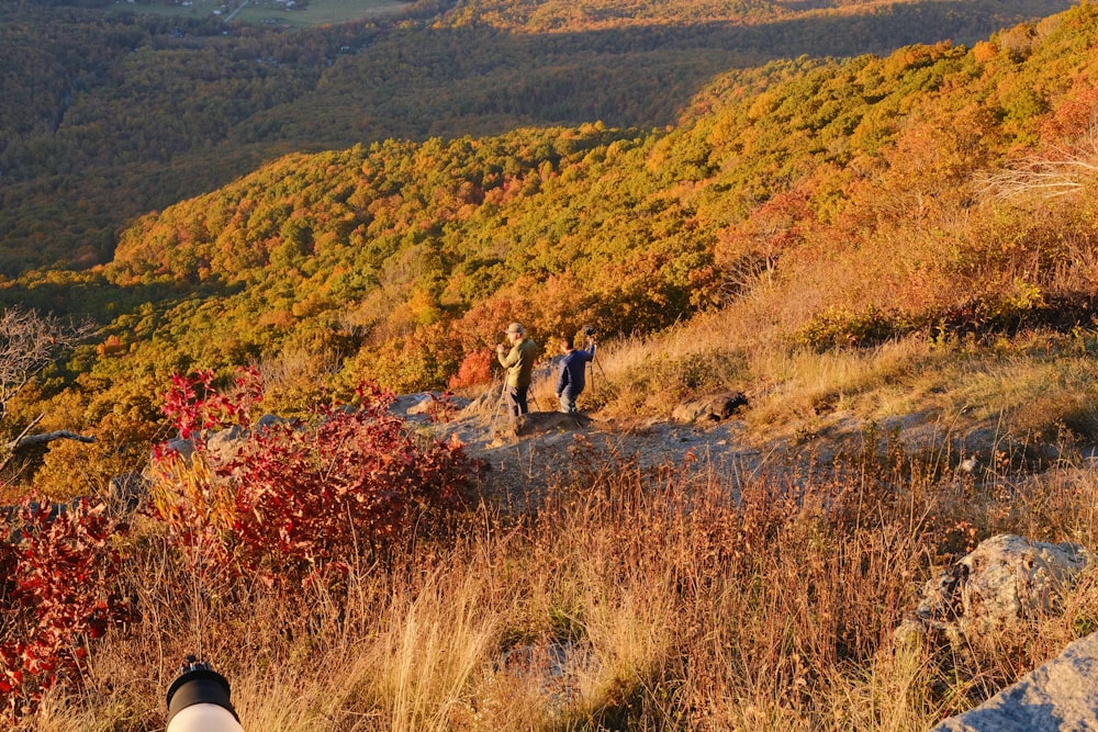 a couple of people standing on top of a lush green hillside