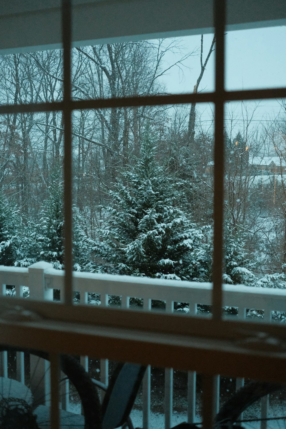 a view of a snowy yard through a window