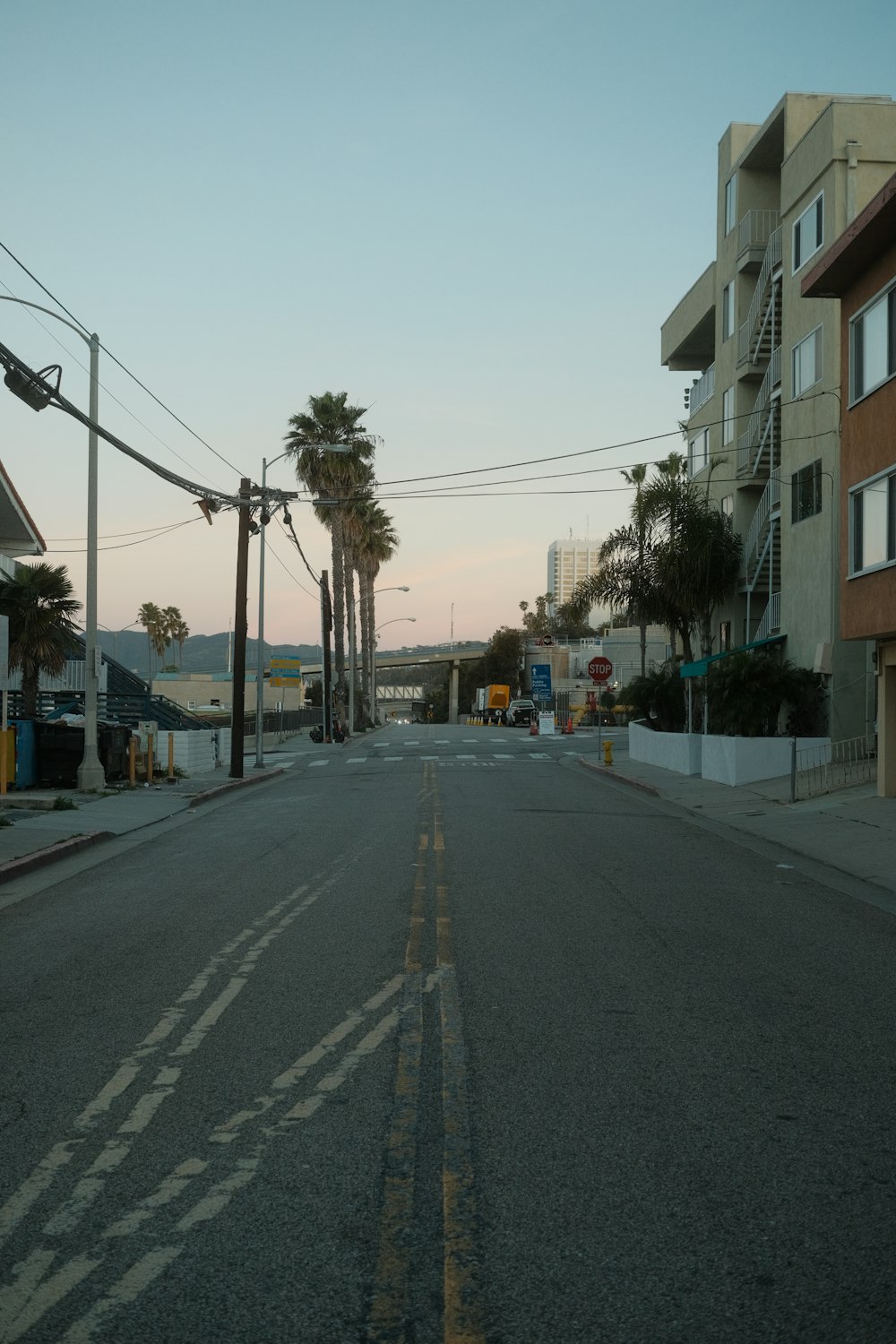 an empty street with palm trees on both sides