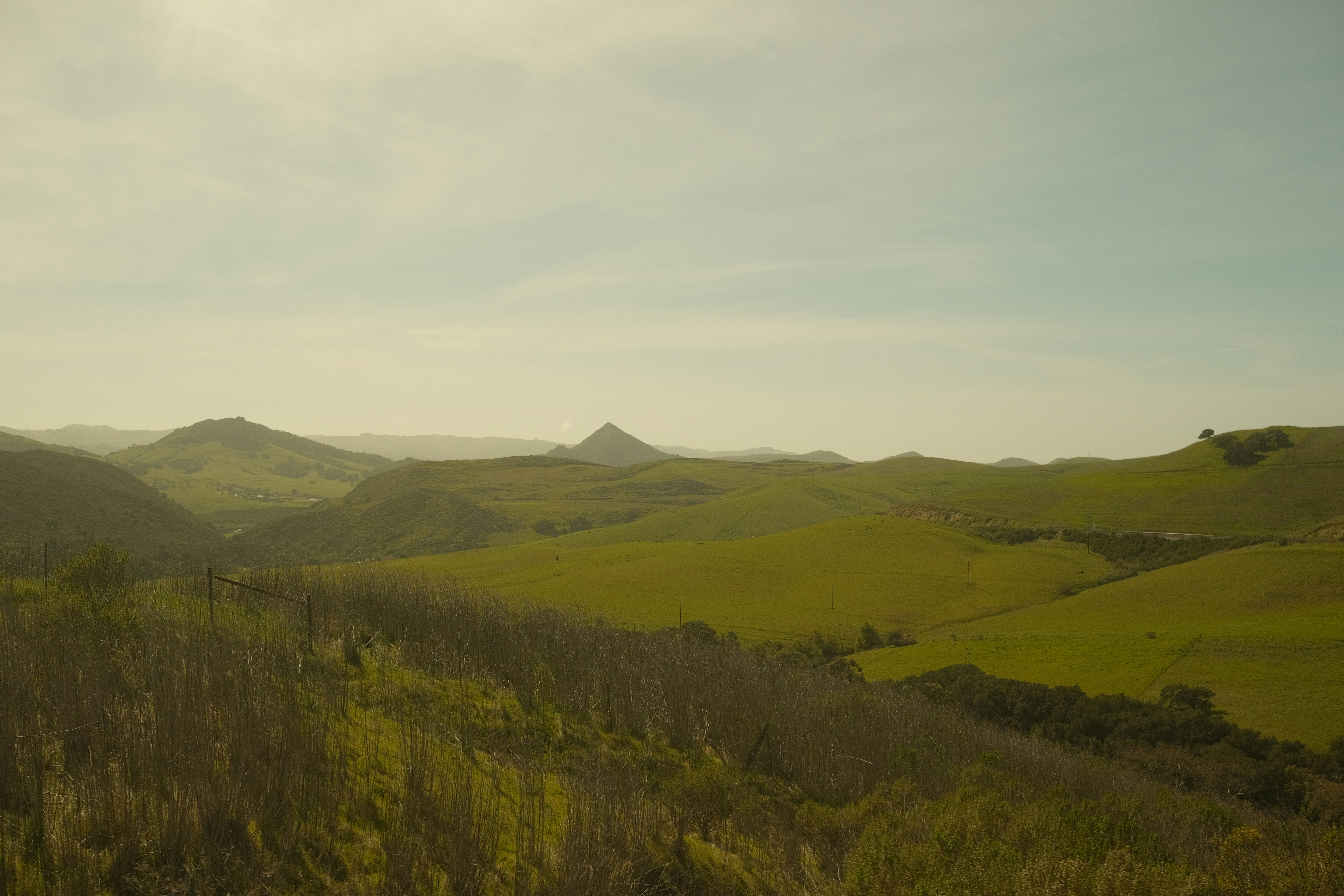 Photo by drewwalkerphoto