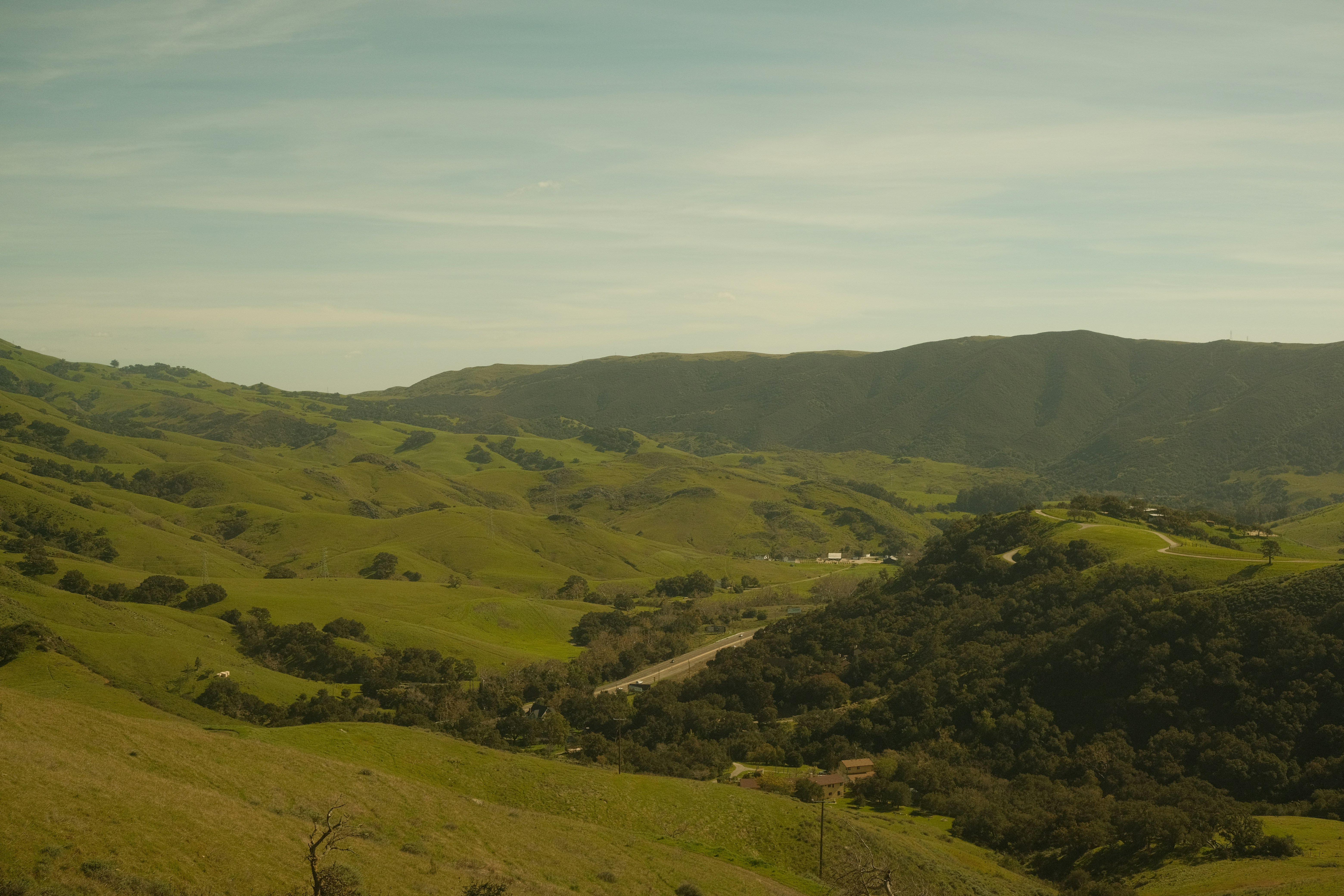 Photo by drewwalkerphoto