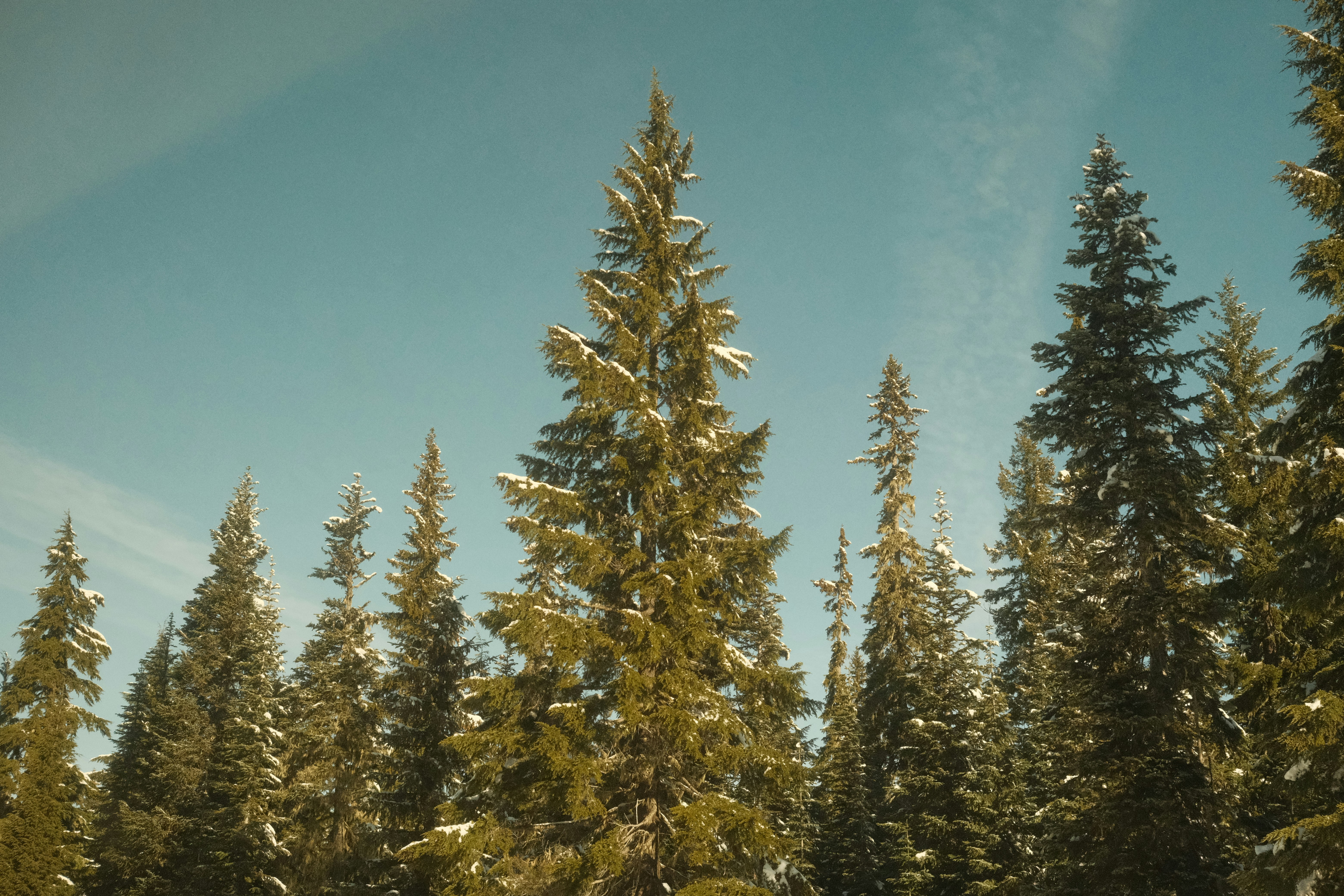 Photo by drewwalkerphoto