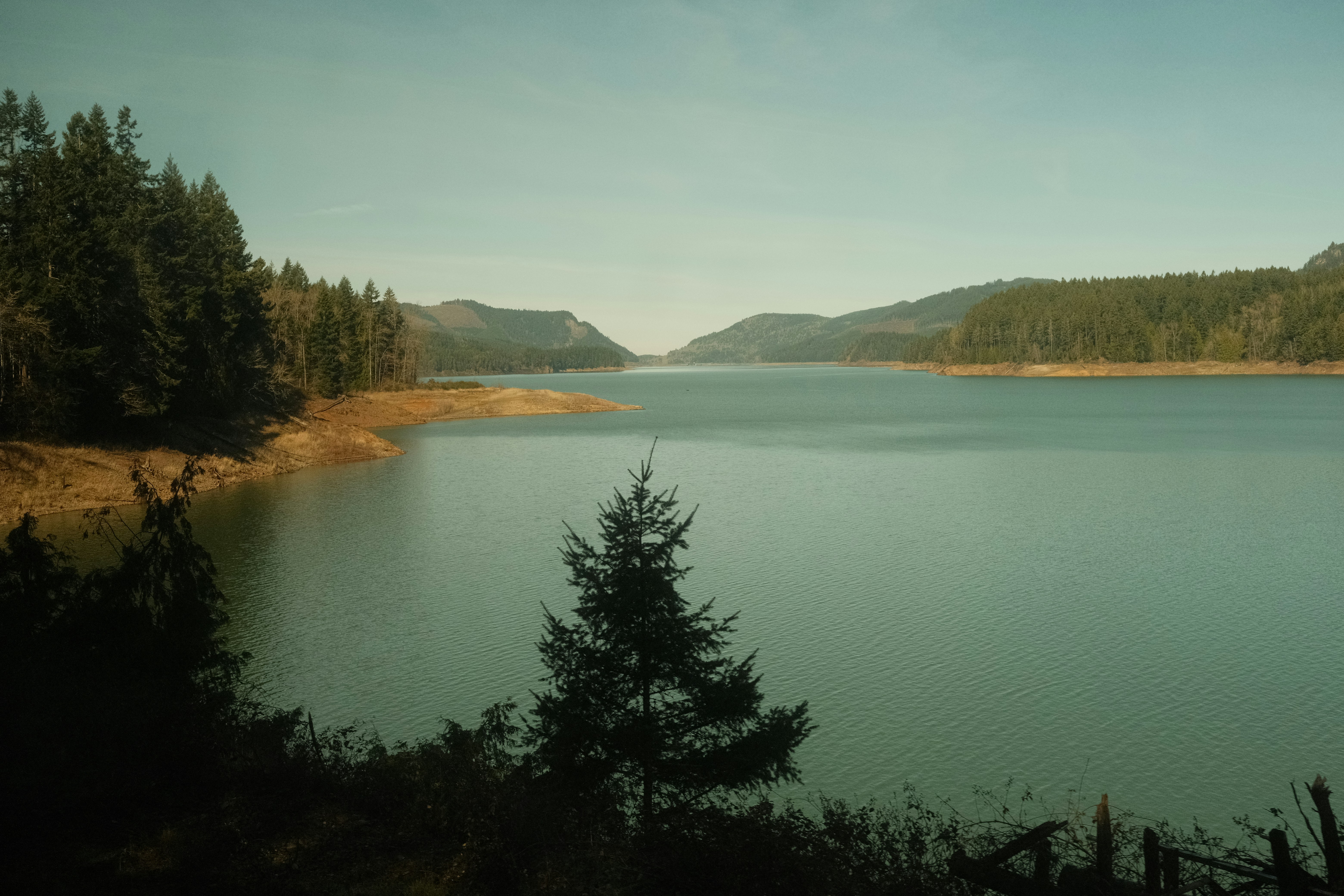 Photo by drewwalkerphoto