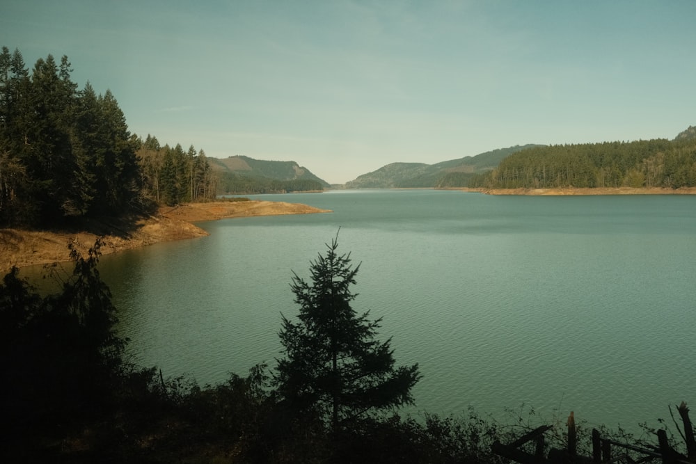 a large body of water surrounded by trees