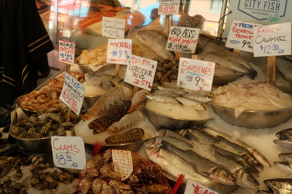 a bunch of different types of seafood on display