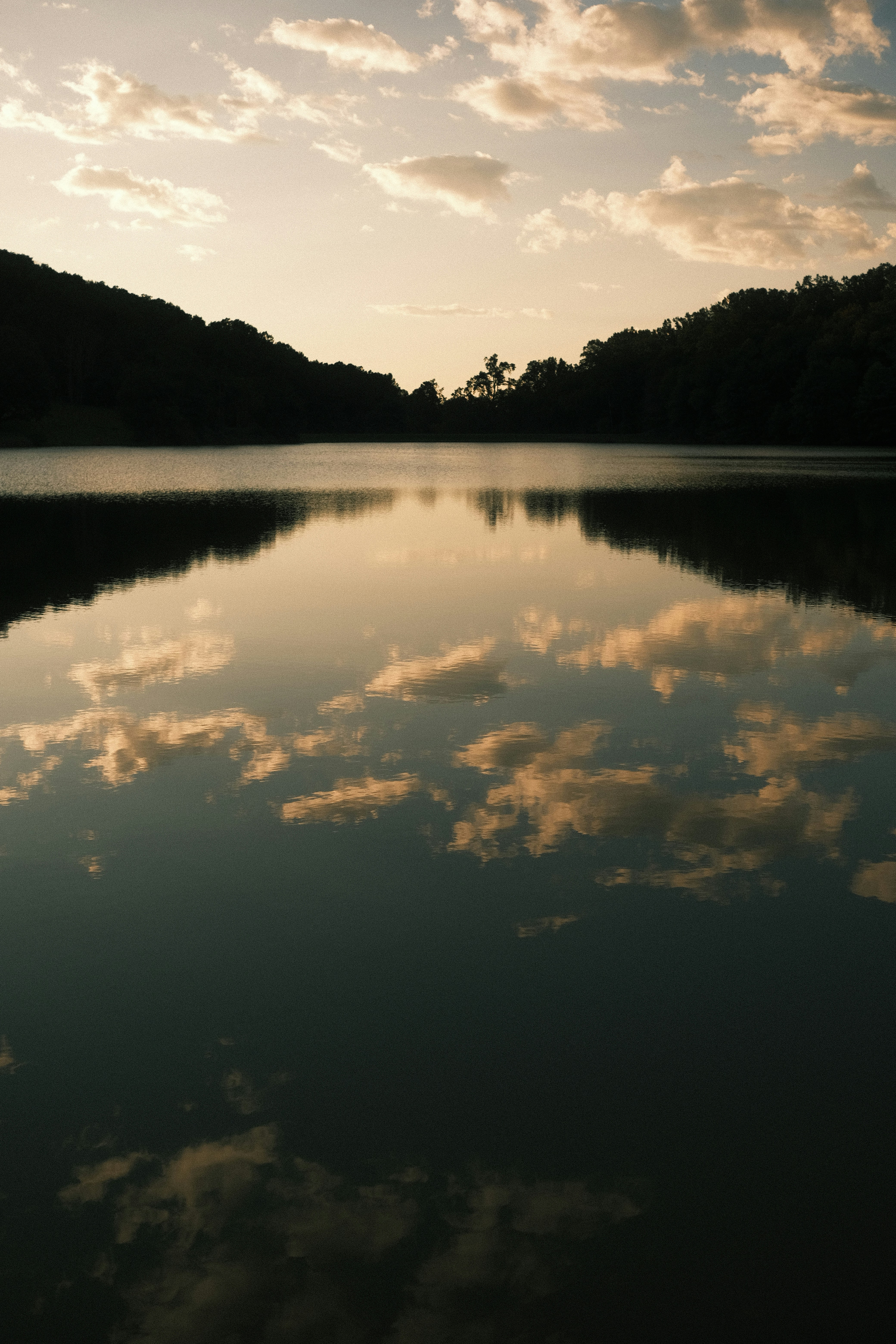 Photo by drewwalkerphoto