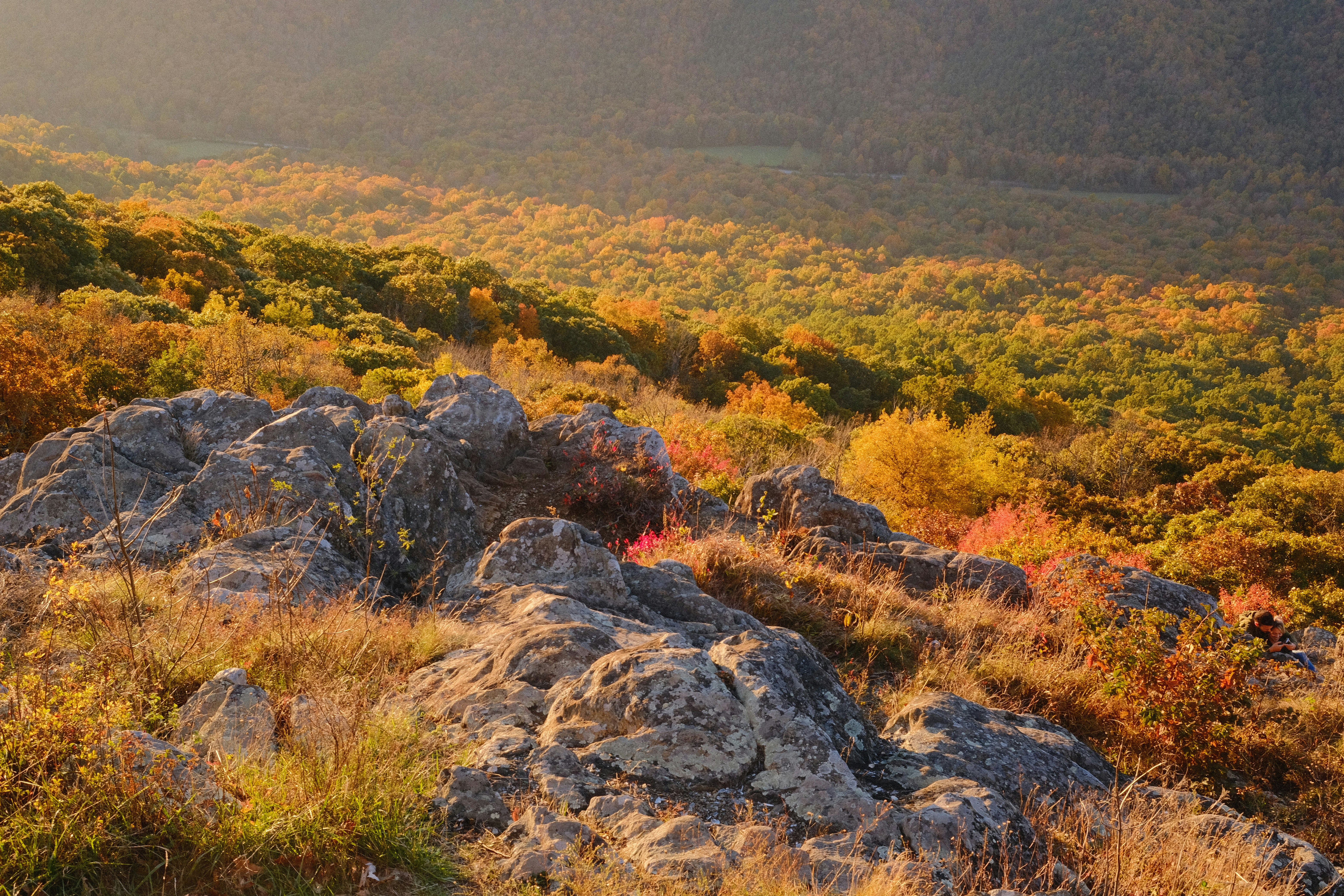 Photo by drewwalkerphoto