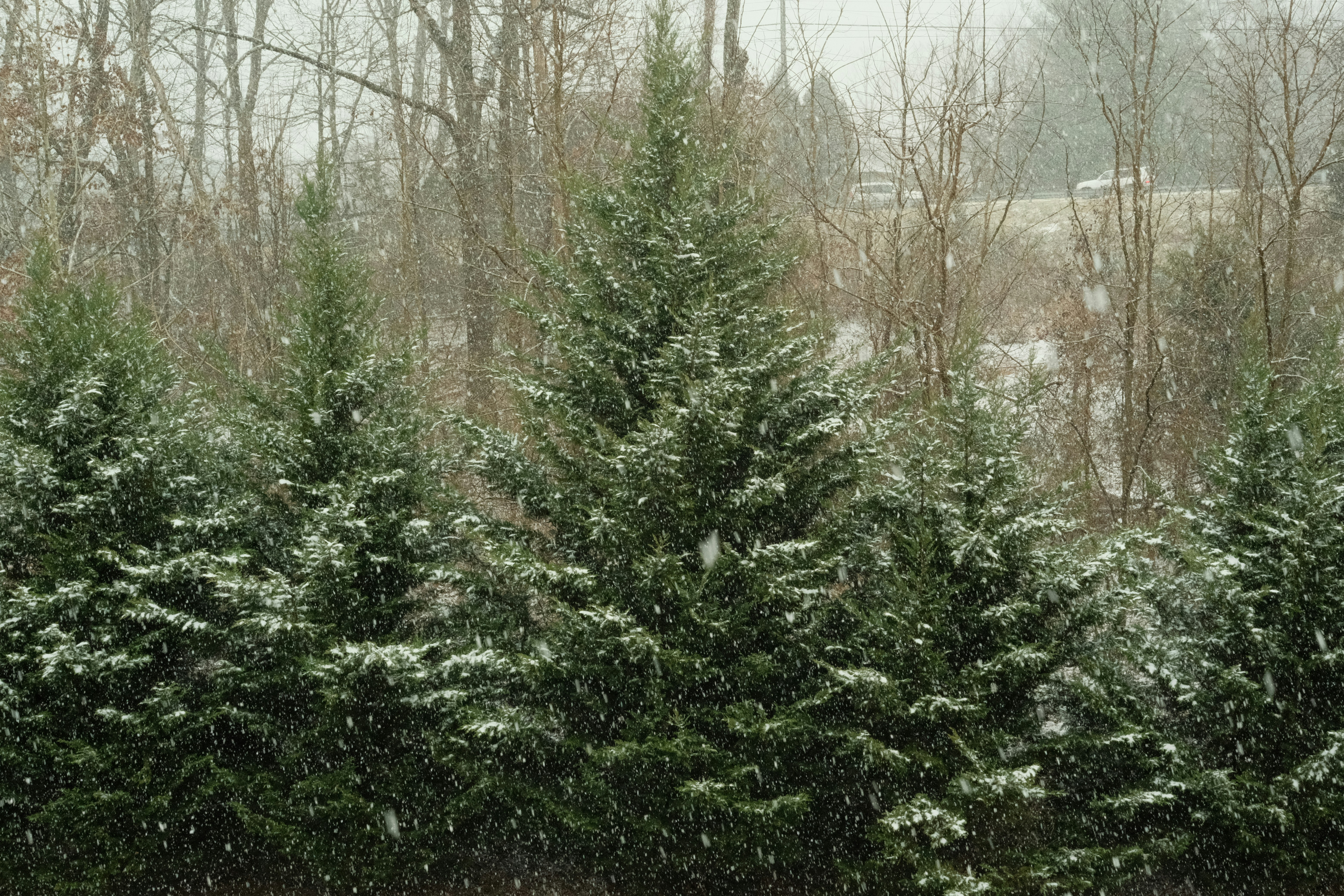 Photo by drewwalkerphoto