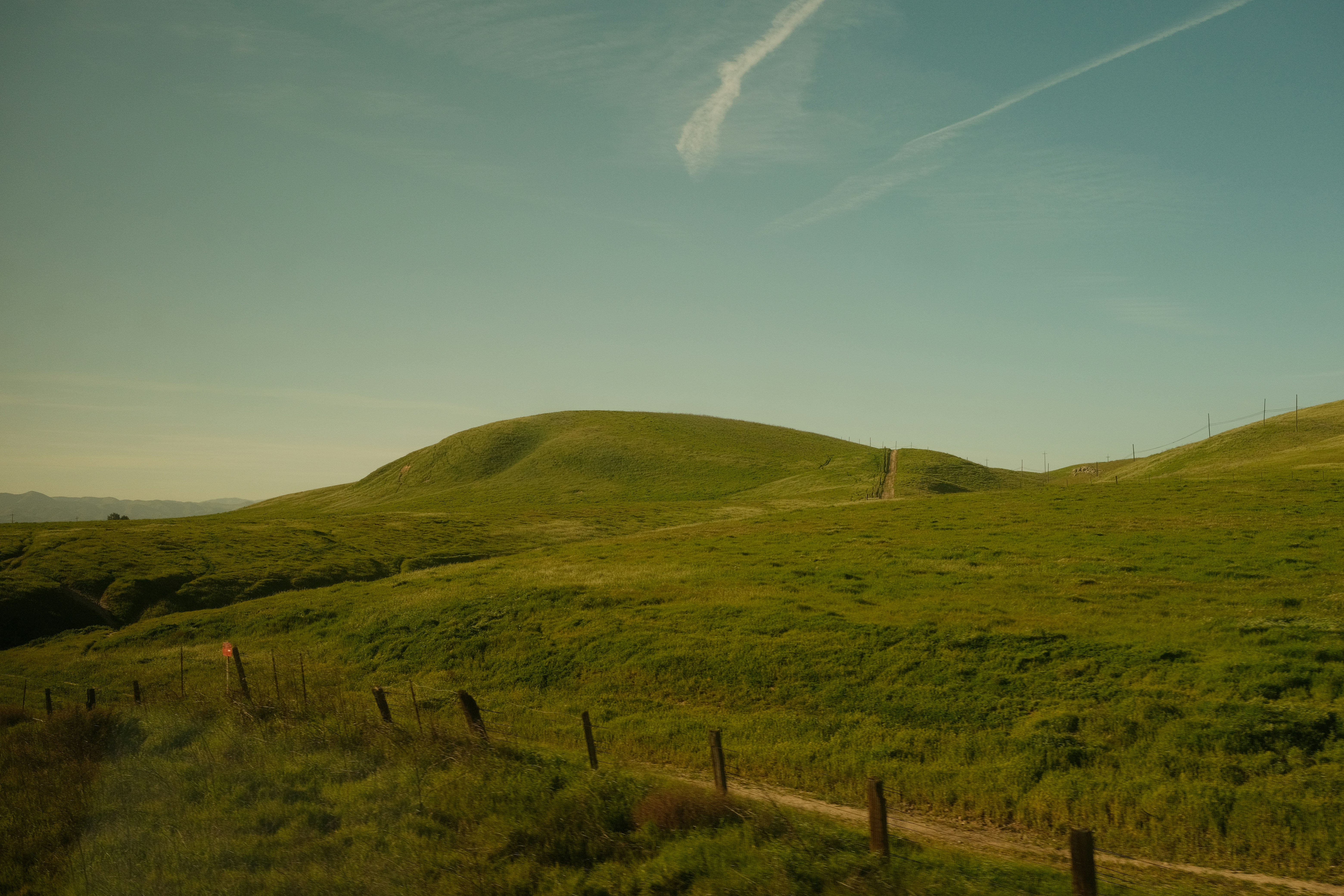 Photo by drewwalkerphoto