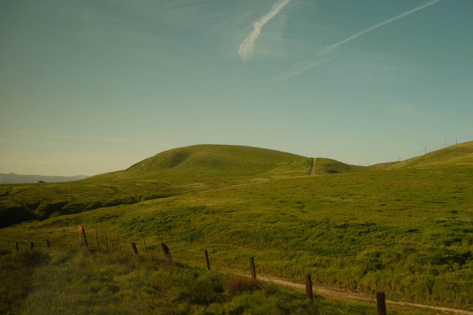 The rising ground above the orchard