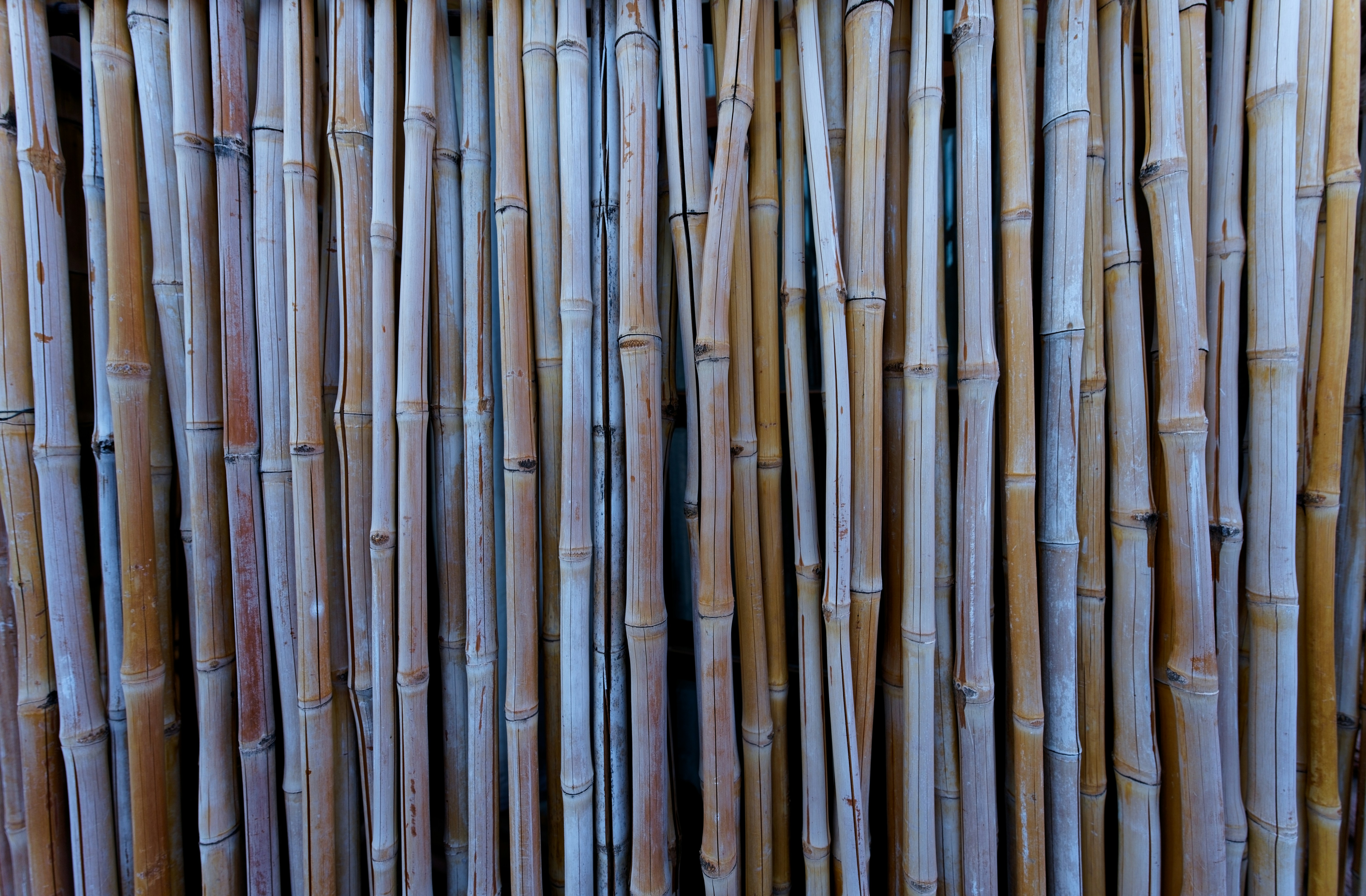 a close up of a wall made of bamboo sticks