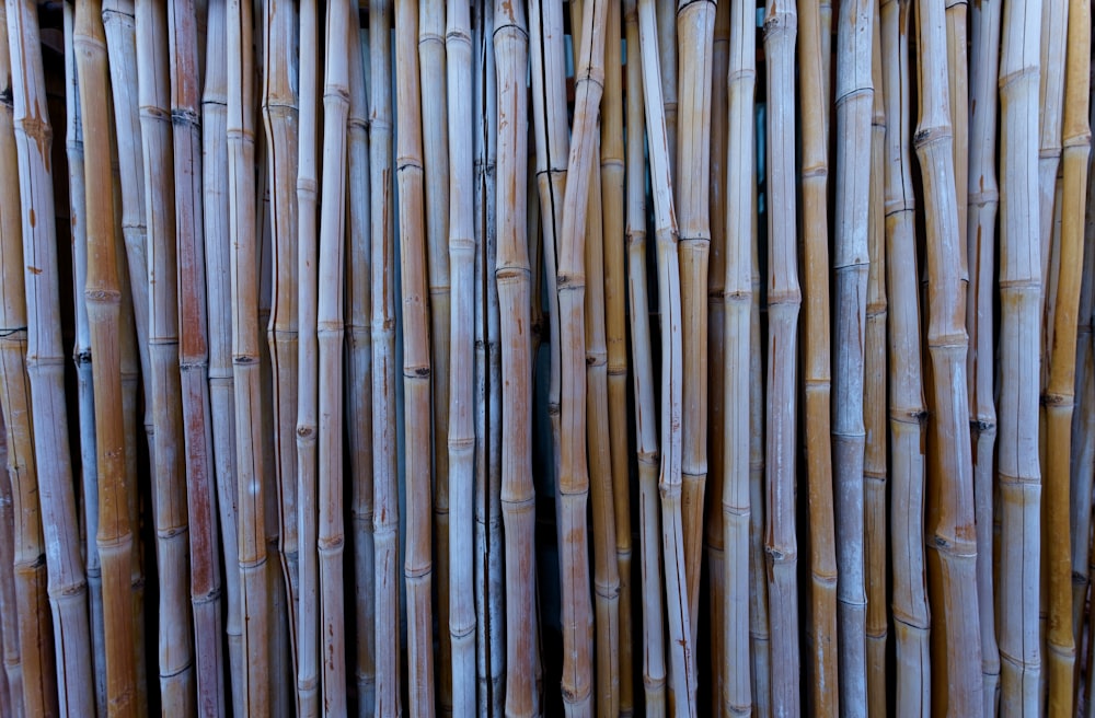 a close up of a wall made of bamboo sticks
