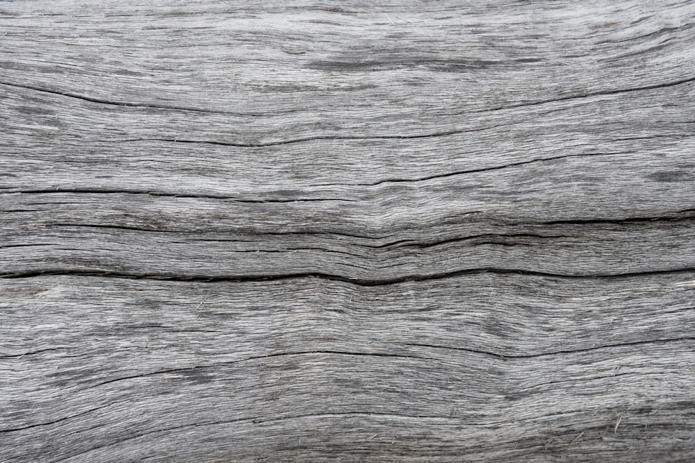 uma visão de perto de uma textura de madeira