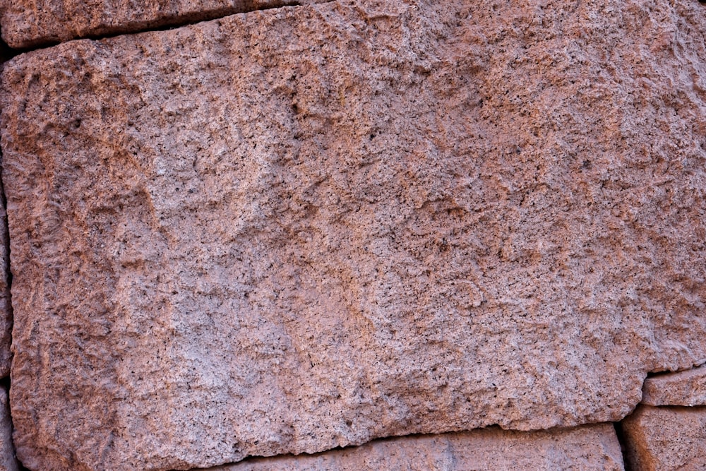 a close up of a stone wall with a bird perched on it